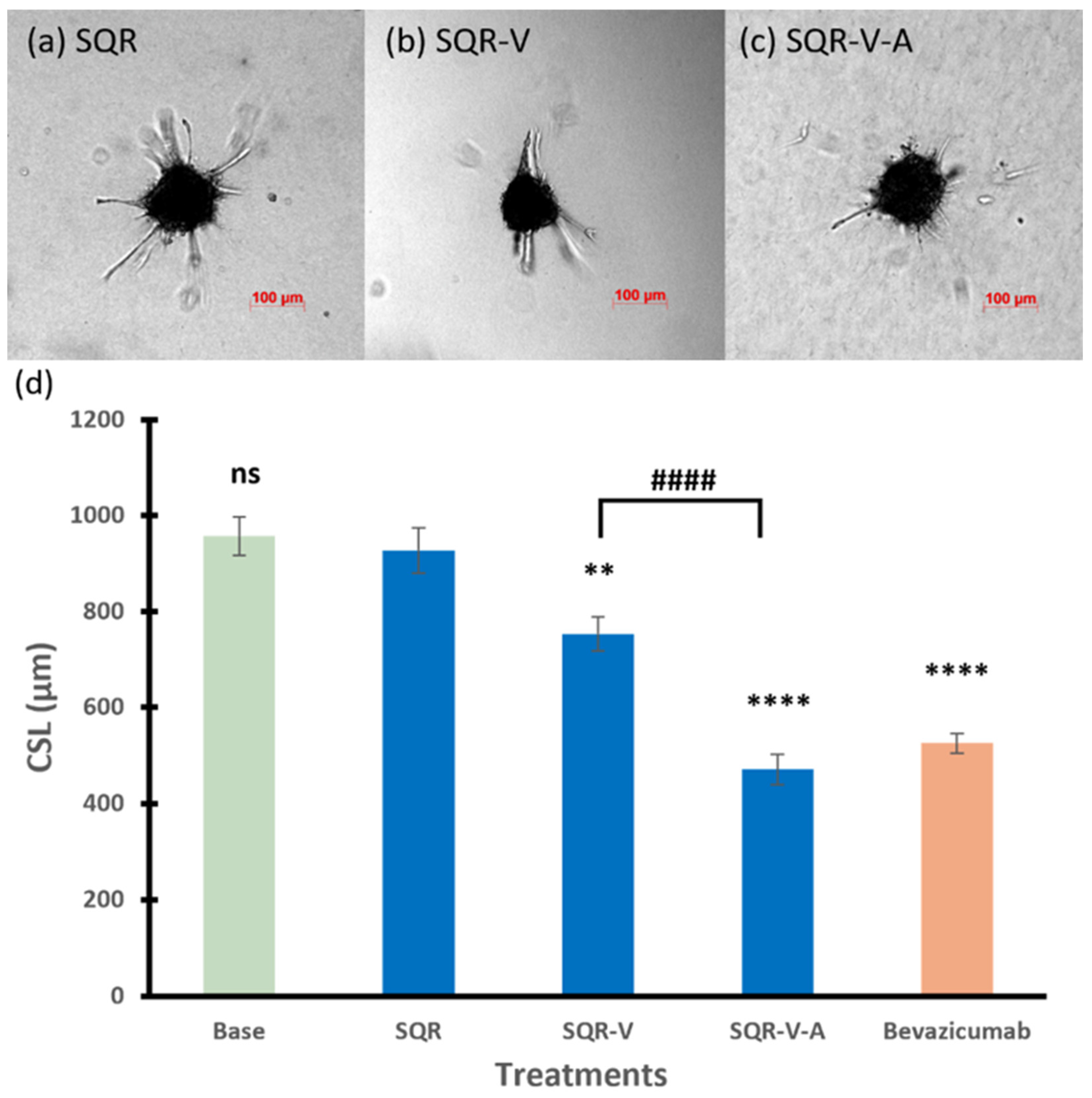 Pharmaceutics 17 00055 g004