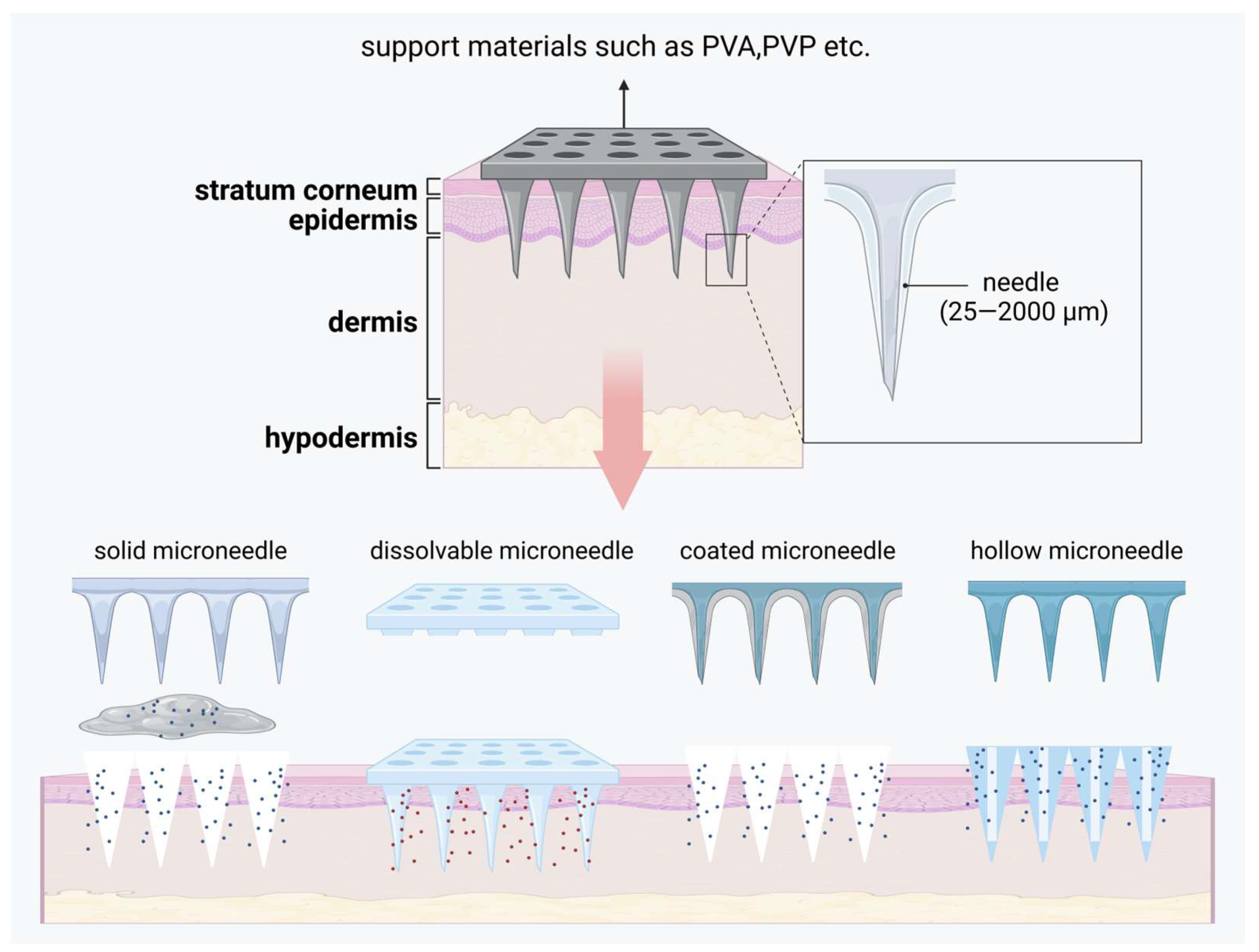 Pharmaceutics 17 00056 g005
