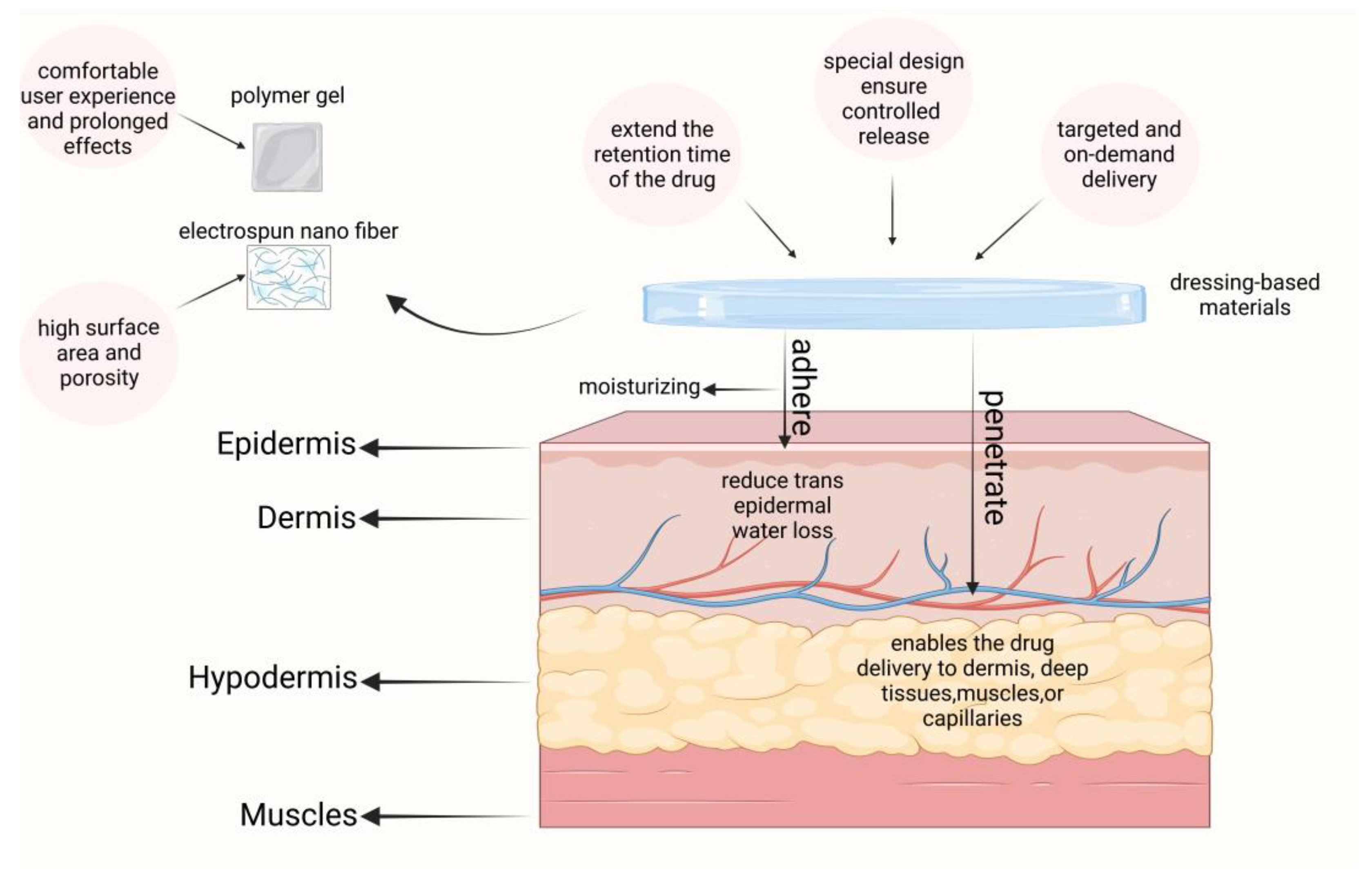 Pharmaceutics 17 00056 g006