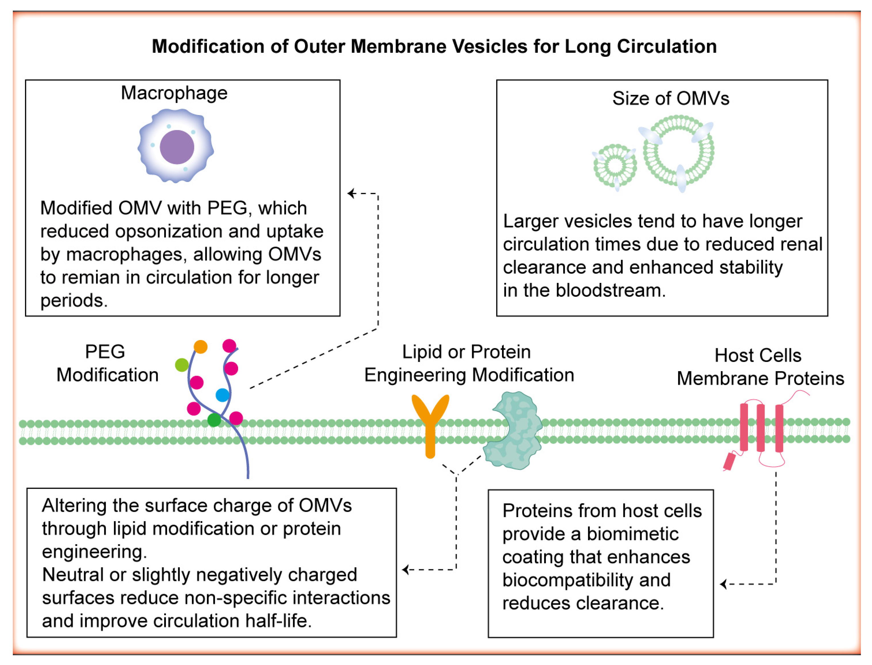 Pharmaceutics 17 00058 g004