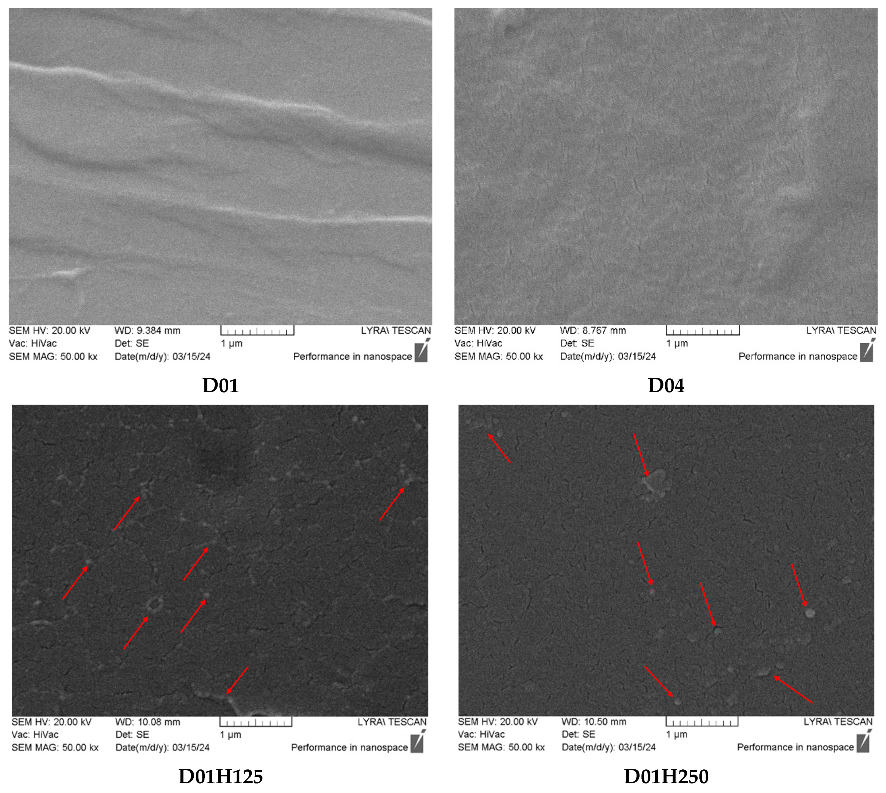 Pharmaceutics 17 00062 g005