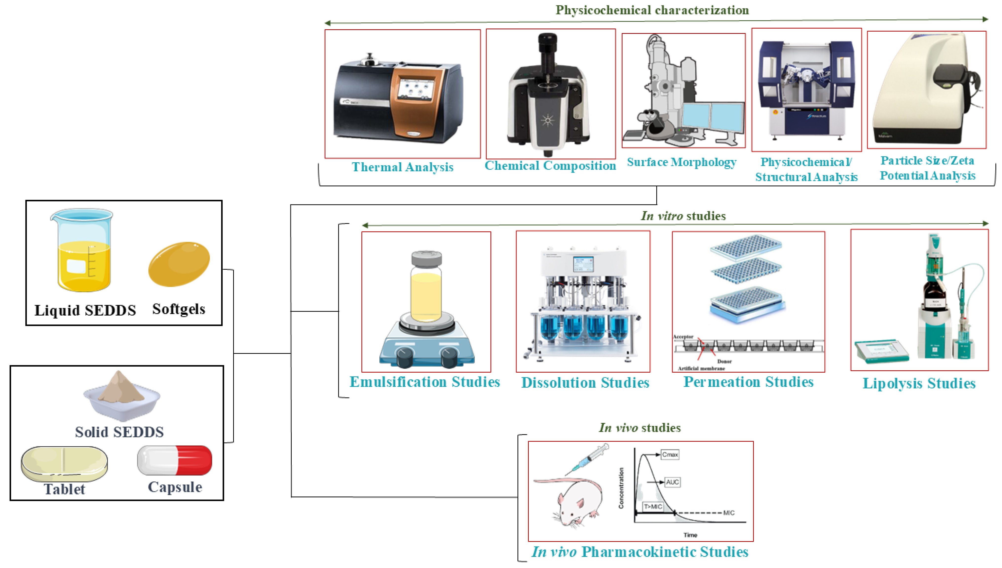 Pharmaceutics 17 00063 g004