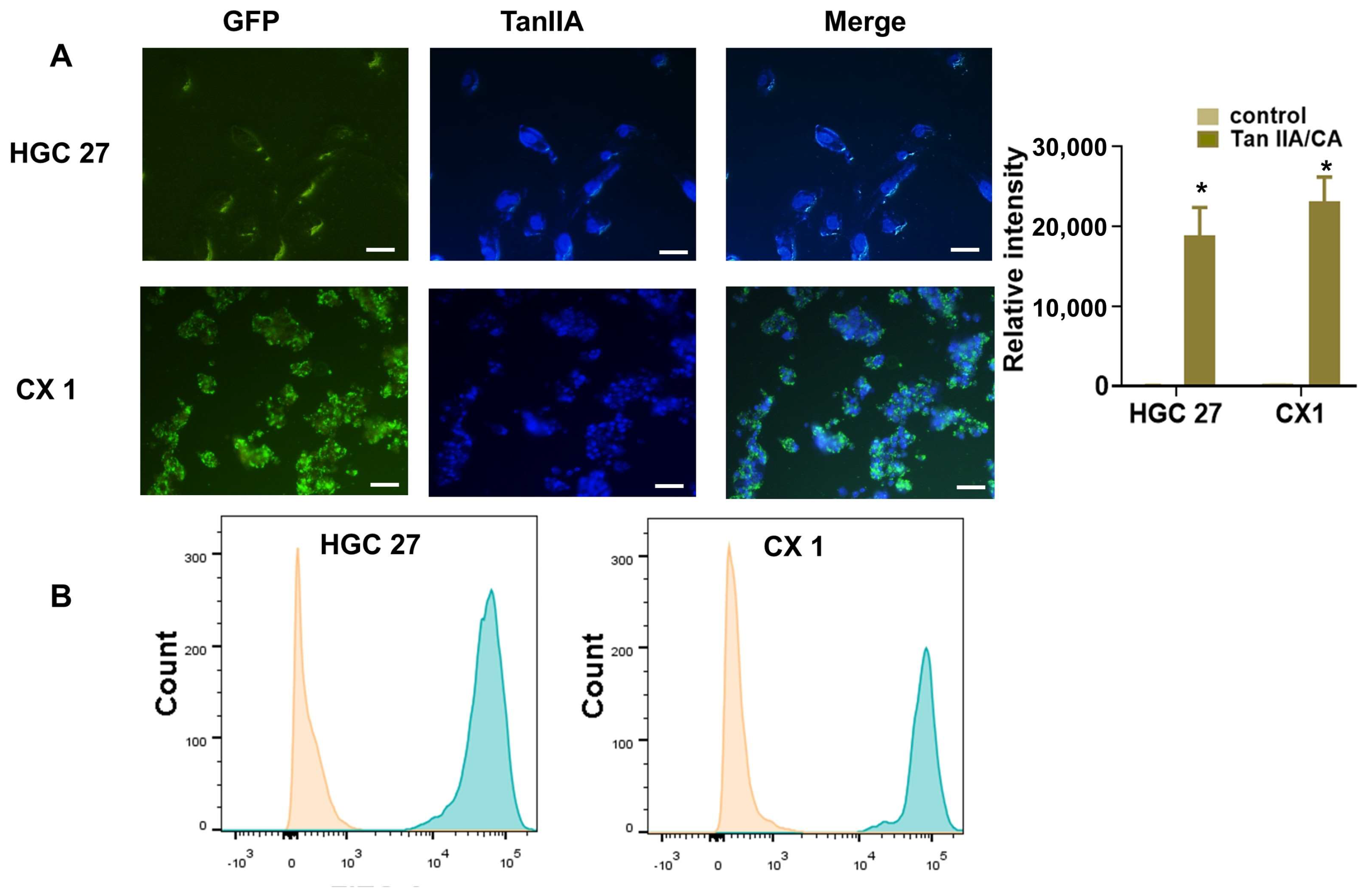 Pharmaceutics 17 00066 g004