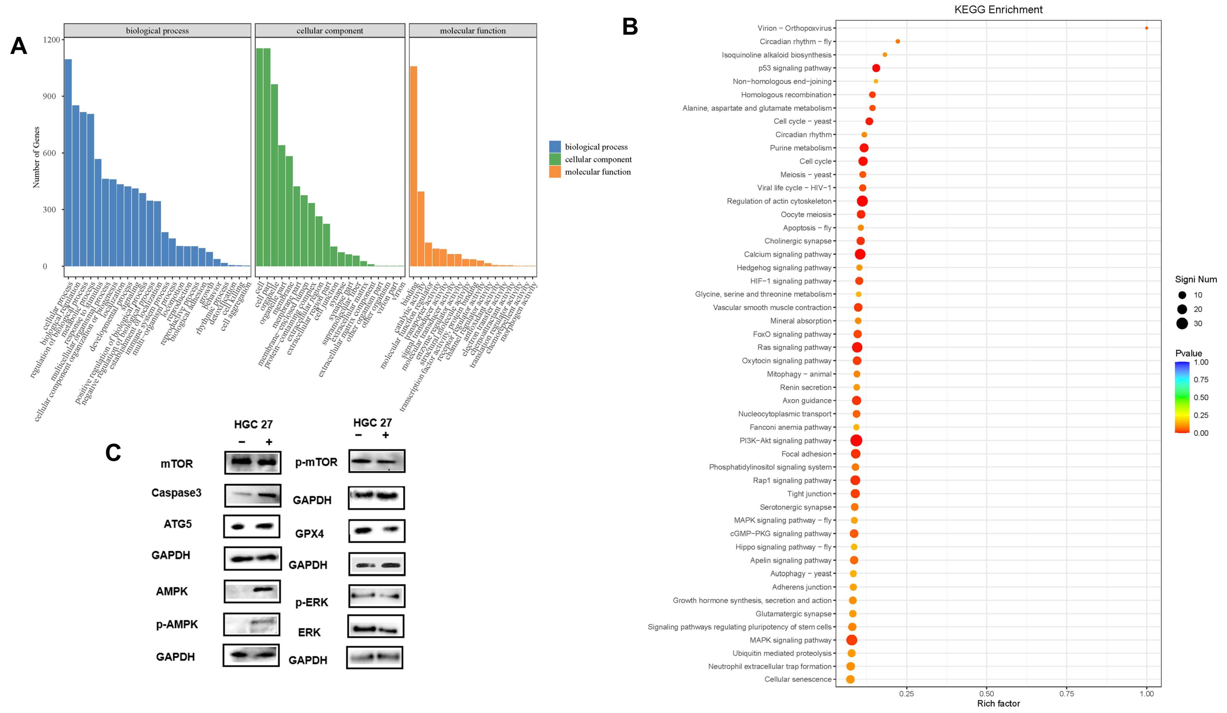 Pharmaceutics 17 00066 g007