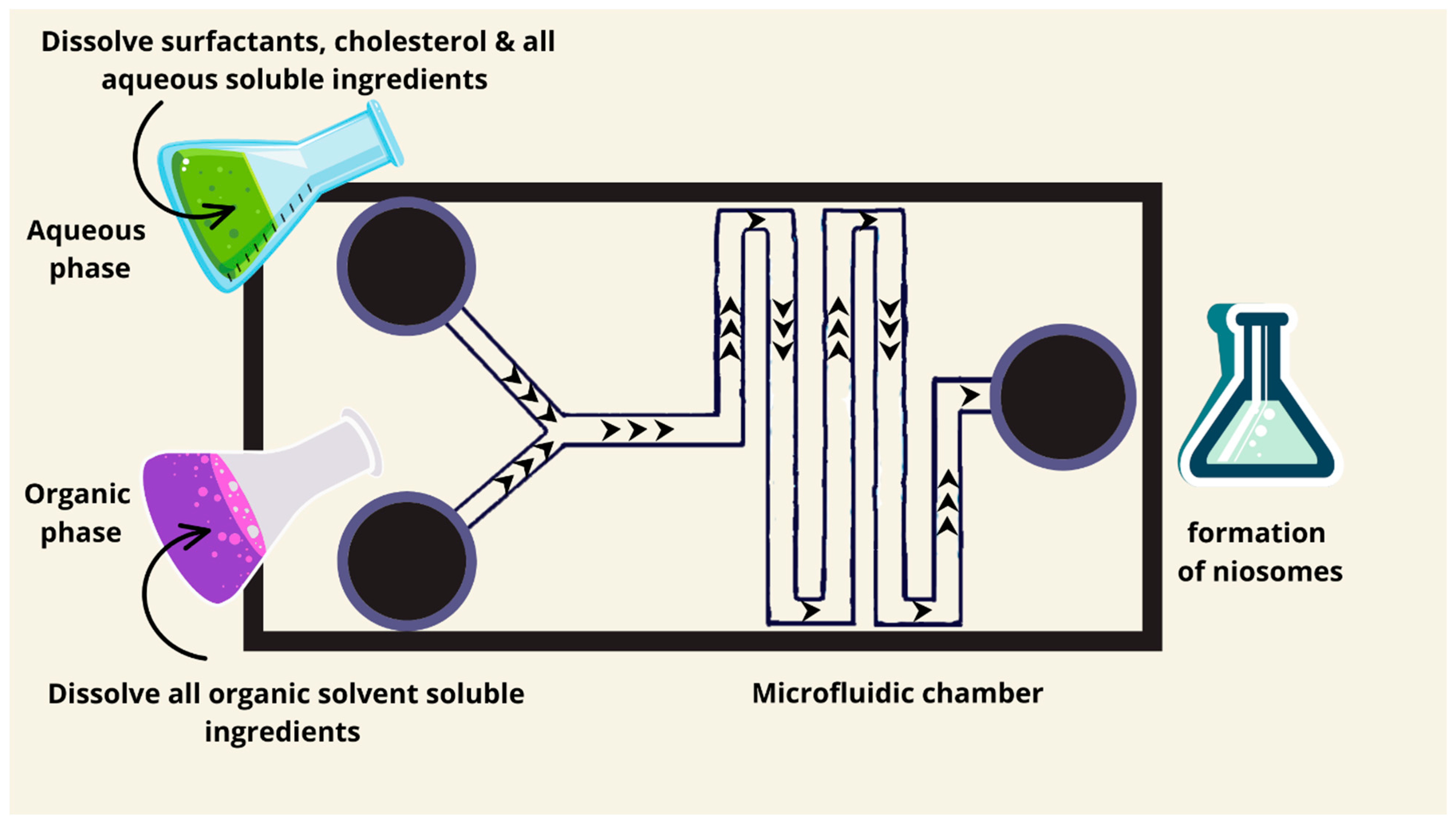 Pharmaceutics 17 00067 g005 Pharmaceutics 17 00067 g005