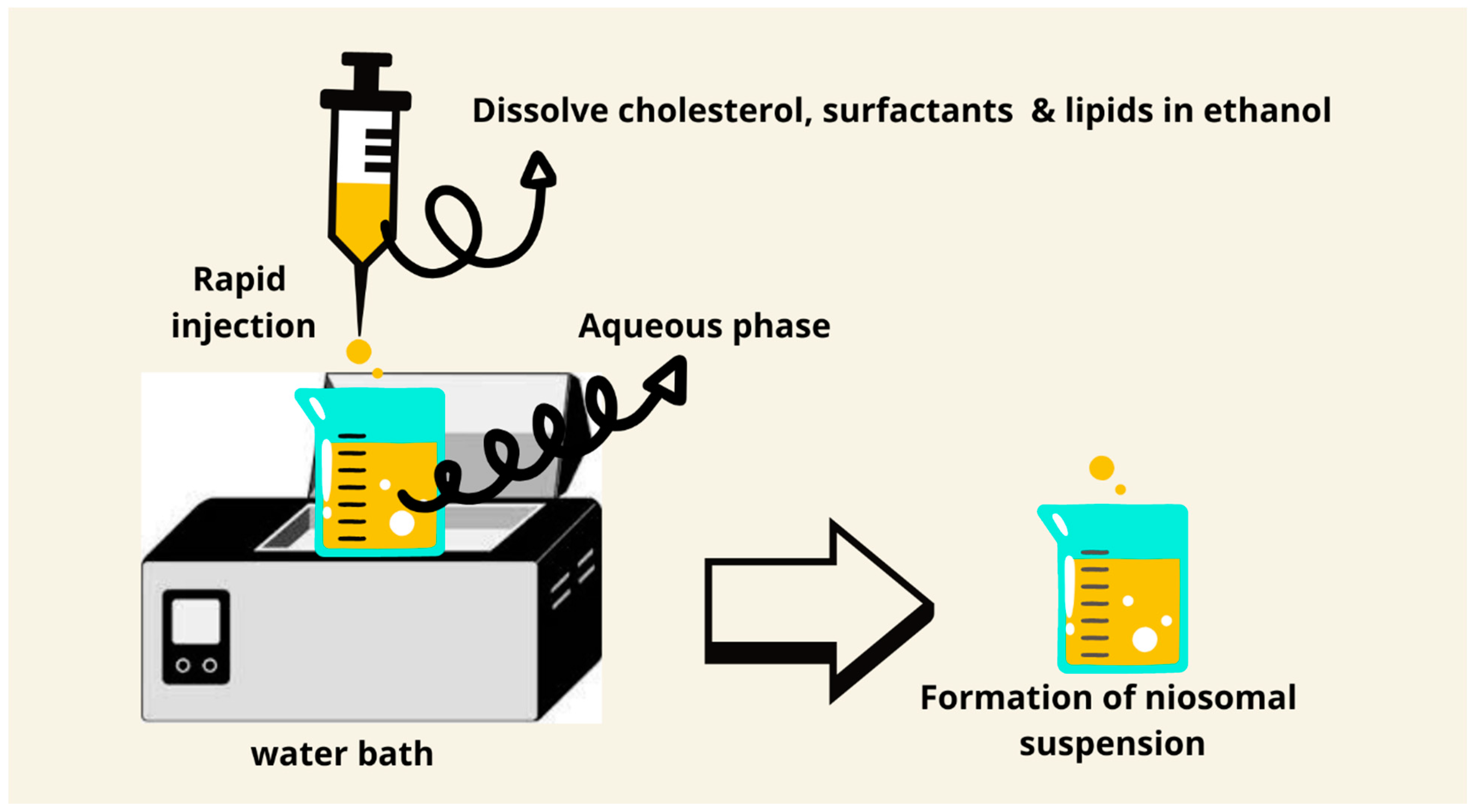 Pharmaceutics 17 00067 g006 Pharmaceutics 17 00067 g006