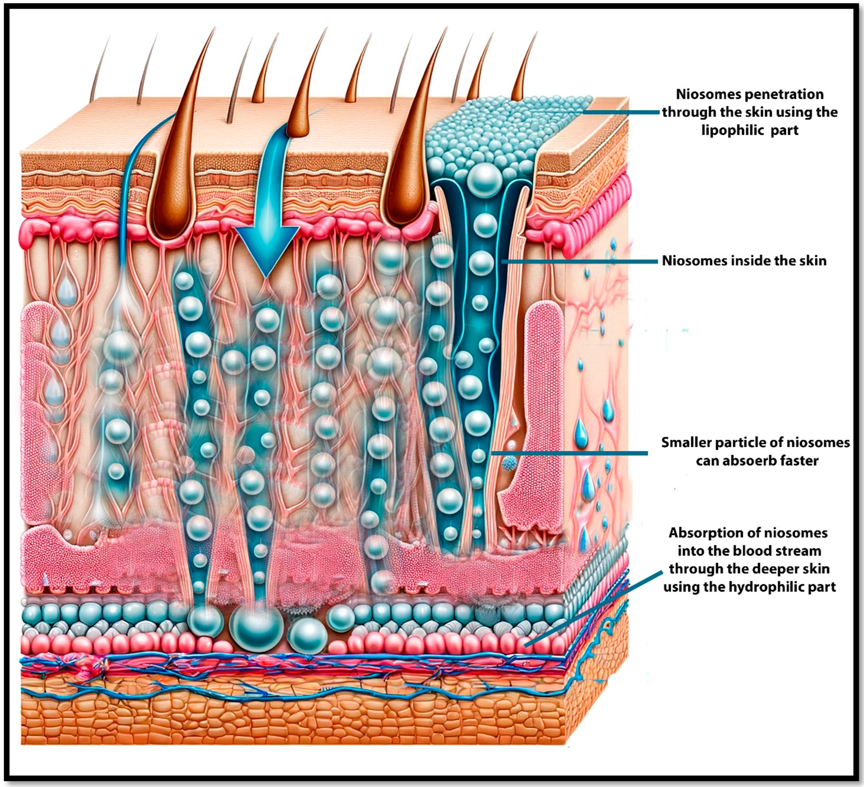 Pharmaceutics 17 00067 g014 Pharmaceutics 17 00067 g014