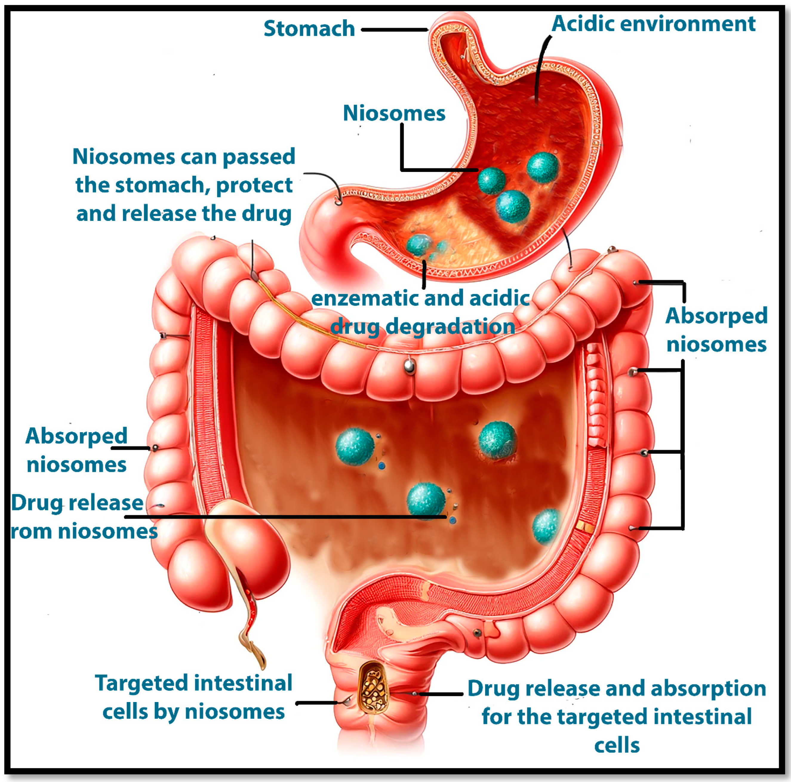 Pharmaceutics 17 00067 g015 Pharmaceutics 17 00067 g015
