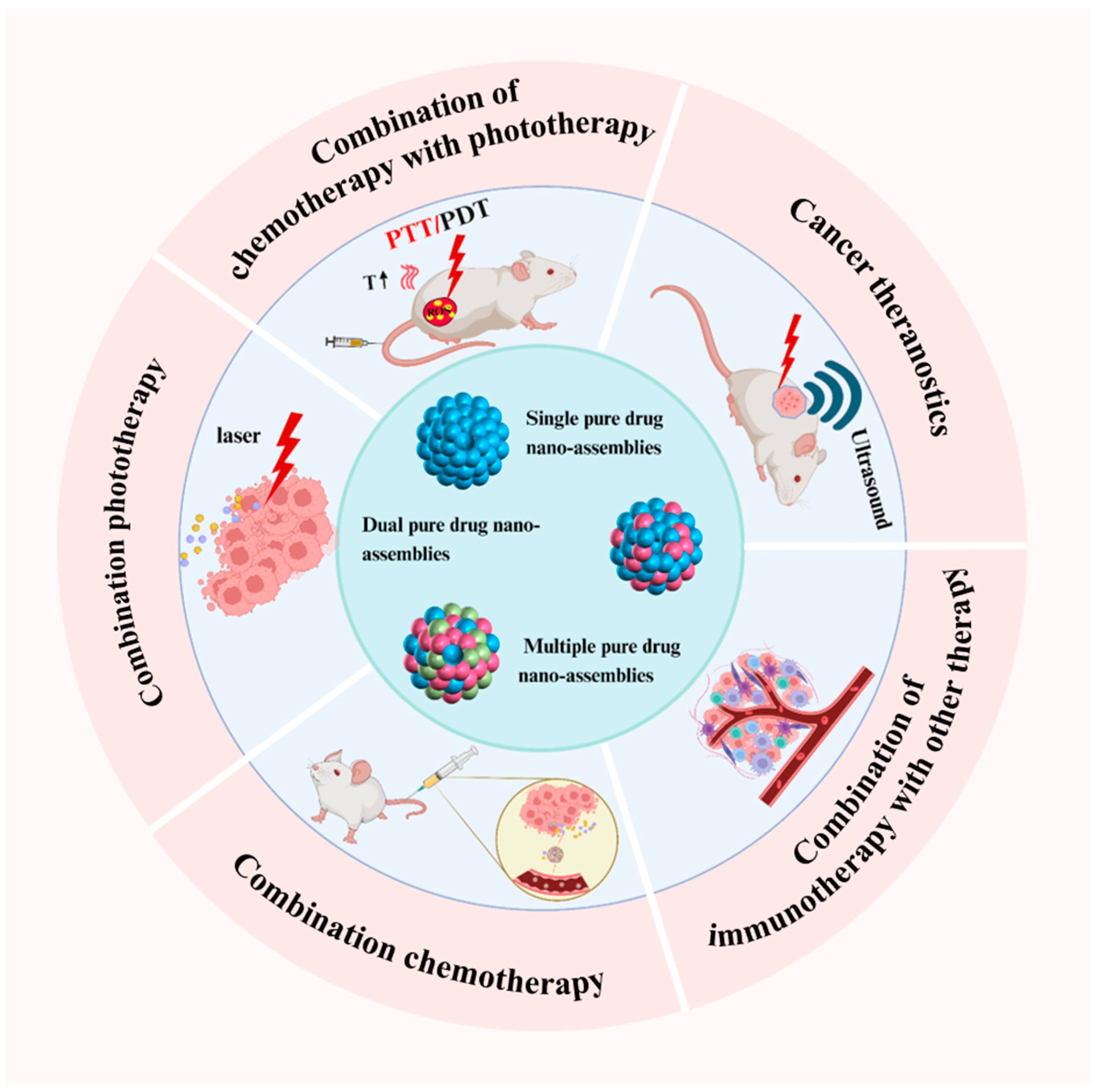 Pharmaceutics 17 00068 g001