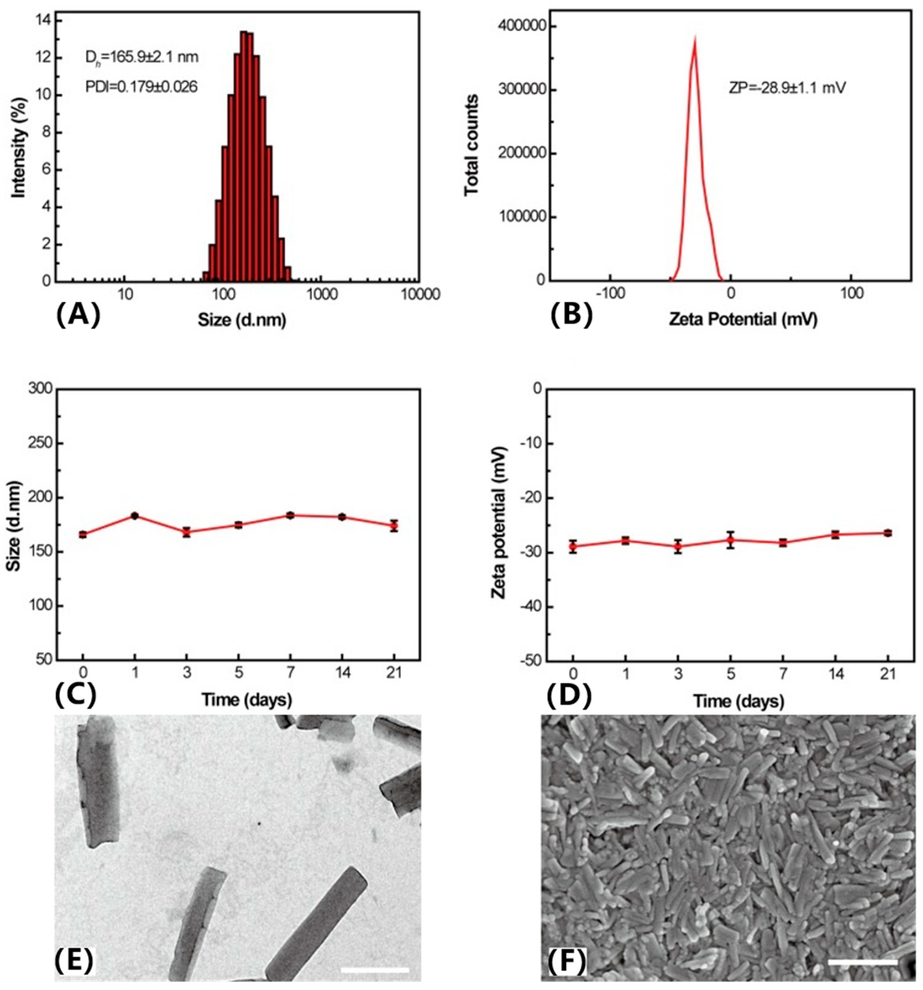 Pharmaceutics 17 00068 g004