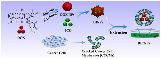 Advances in Pure Drug Self-Assembled Nanosystems: A Novel Strategy for ...