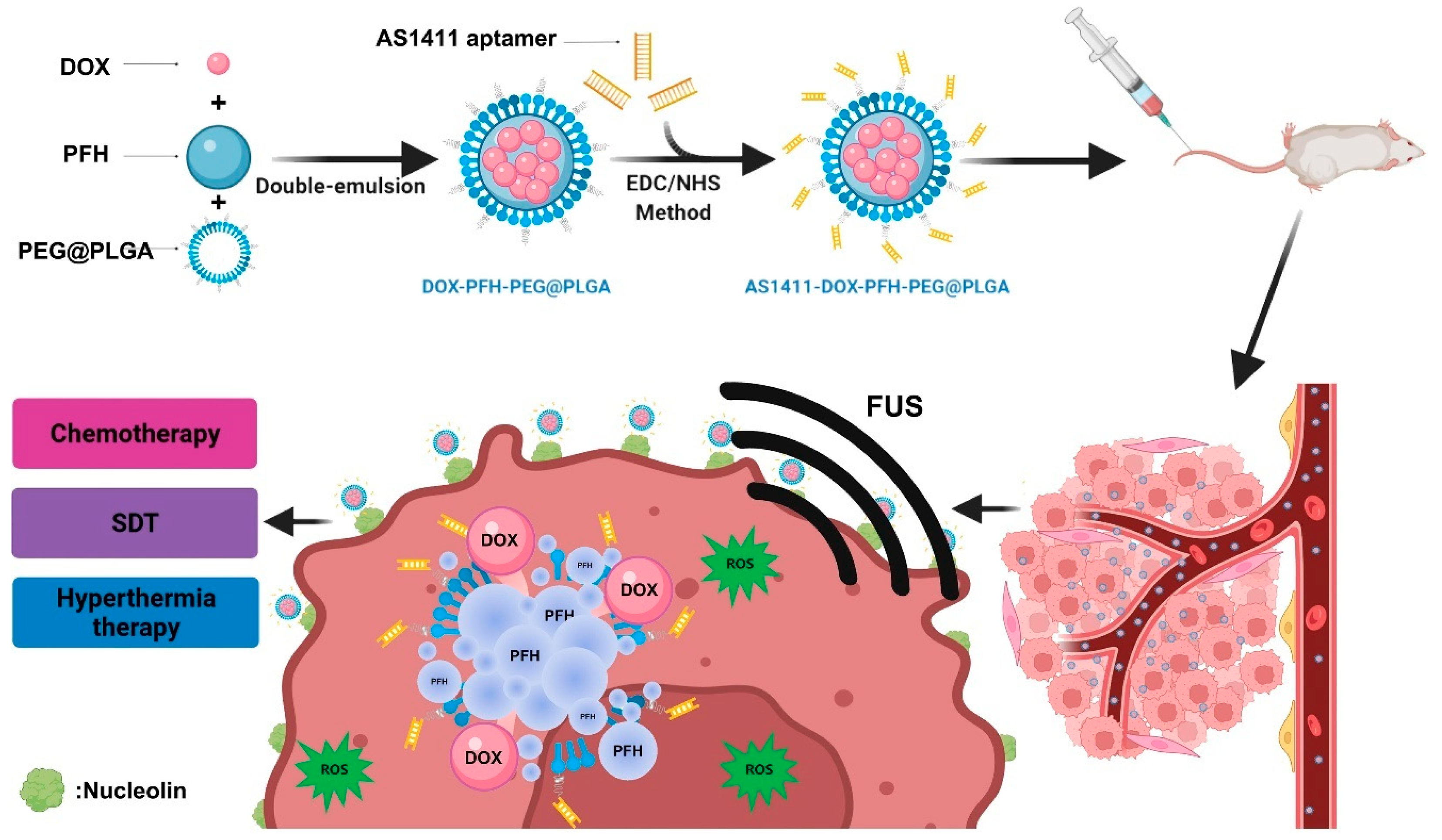 Pharmaceutics 17 00068 g007