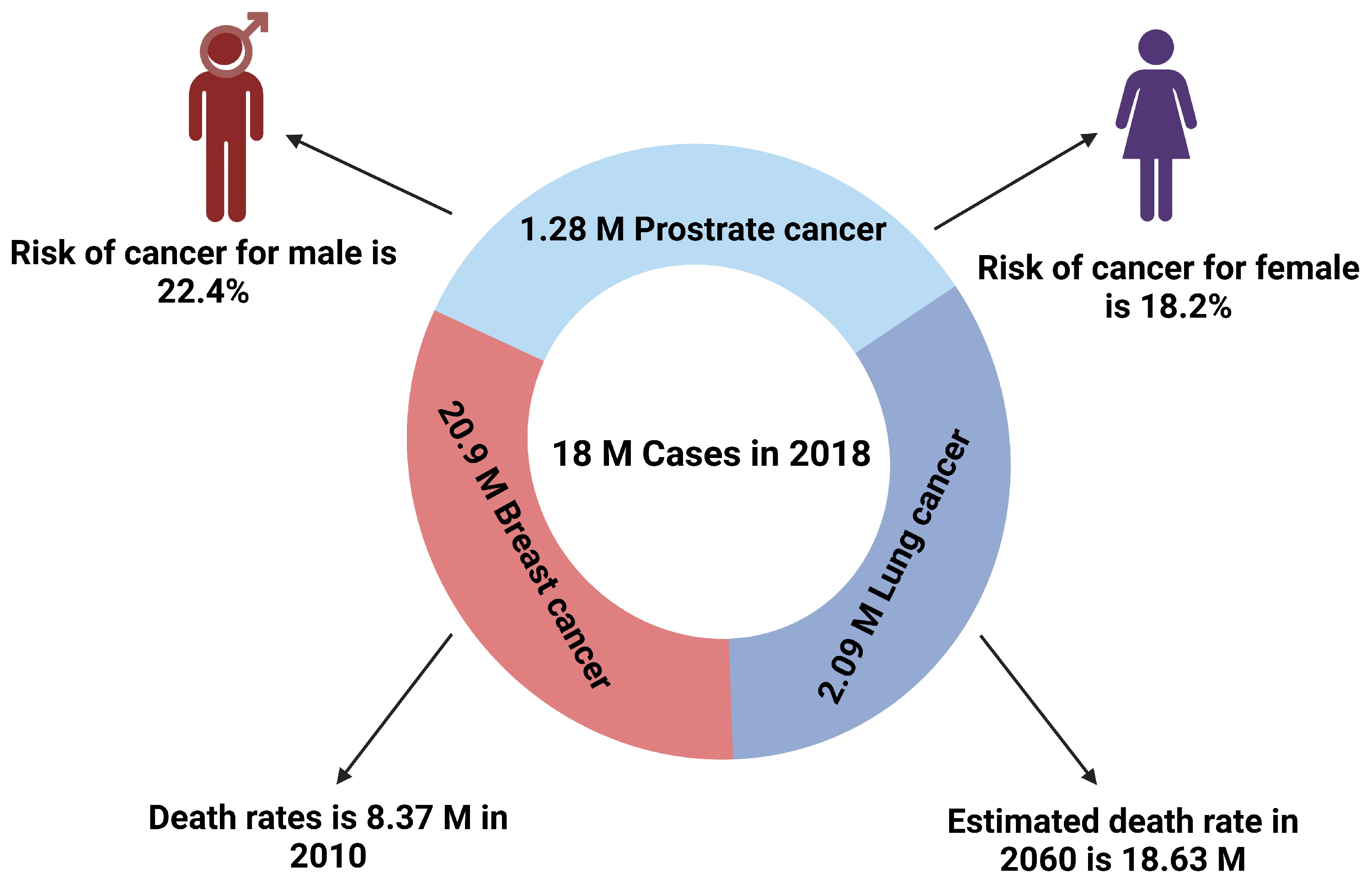 Pharmaceutics 17 00070 g001