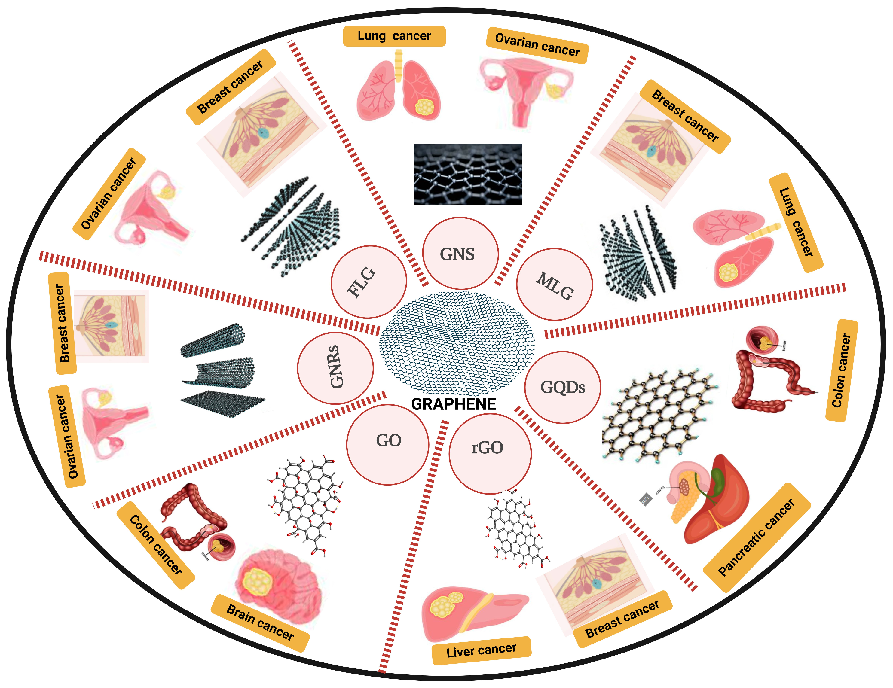 Pharmaceutics 17 00070 g004