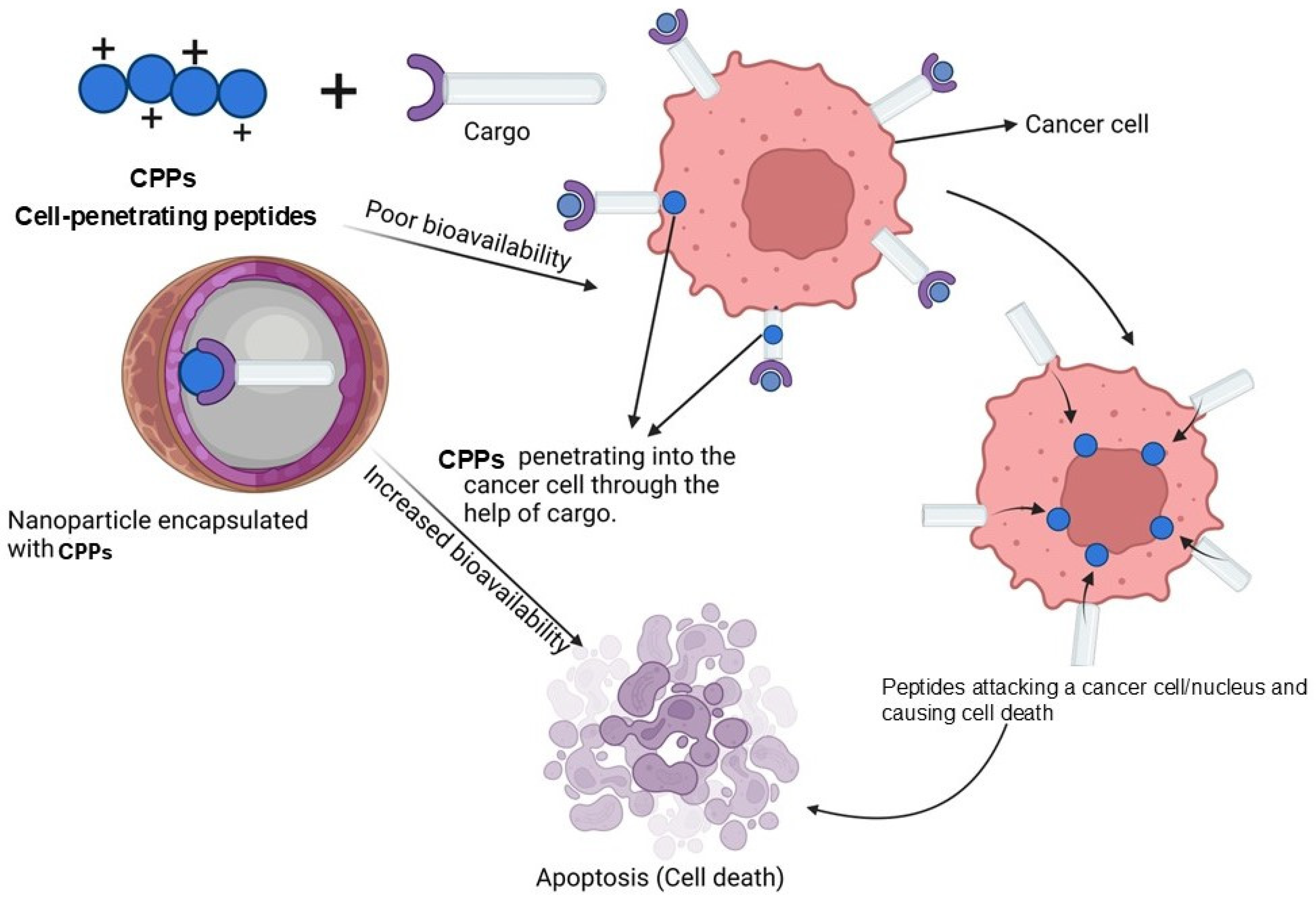 Pharmaceutics 17 00070 g005