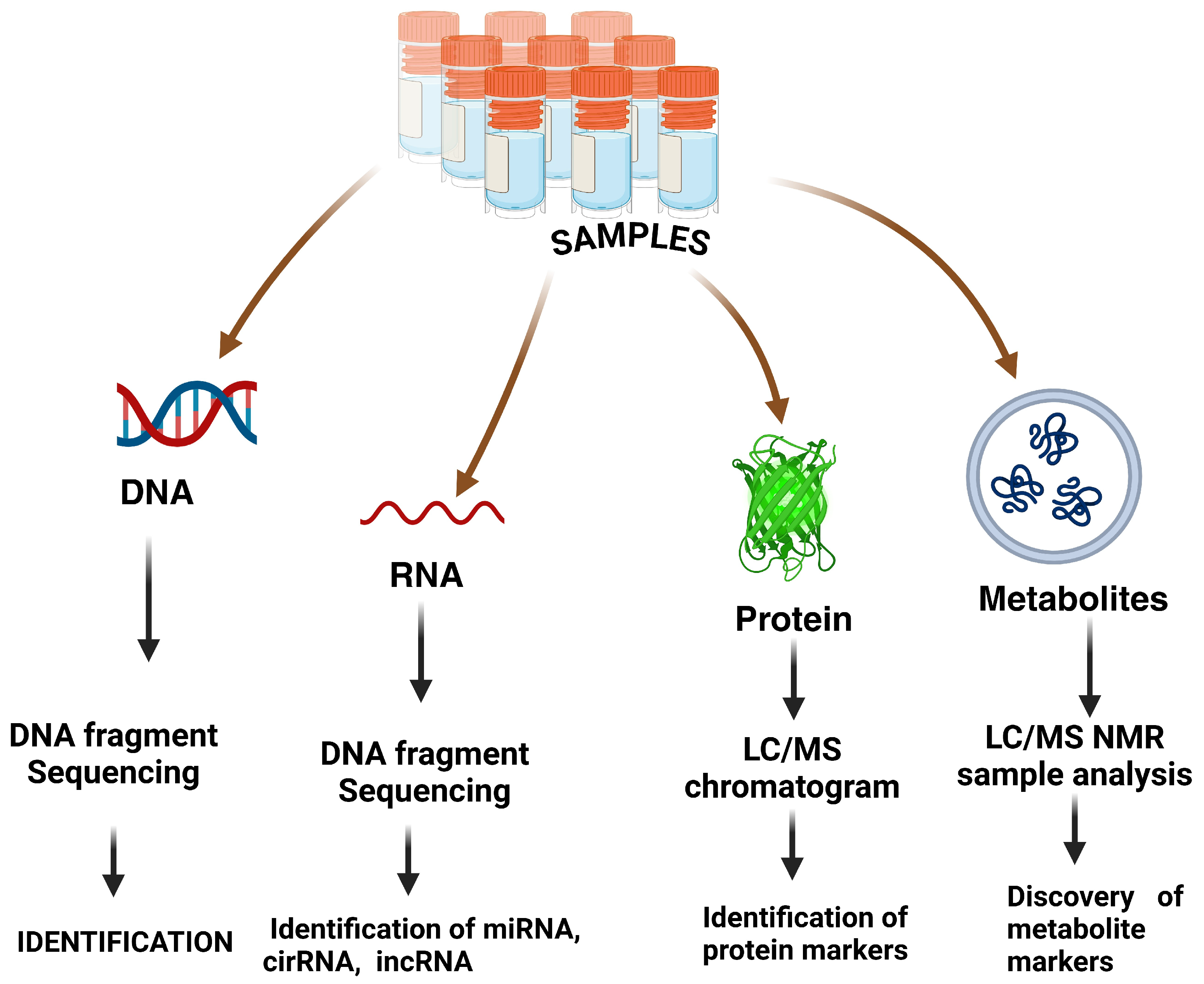 Pharmaceutics 17 00070 g007
