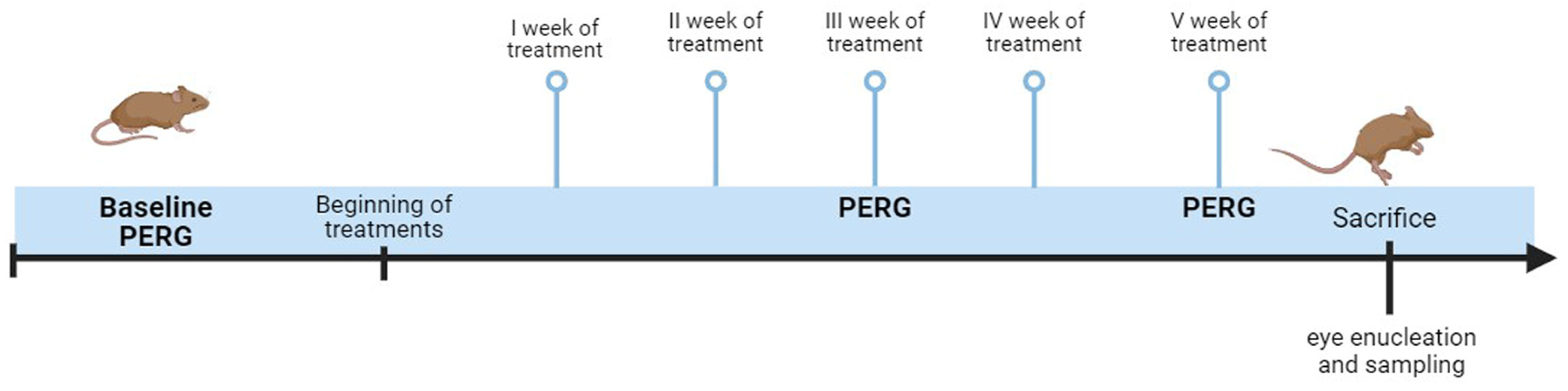 Pharmaceutics 17 00073 g001