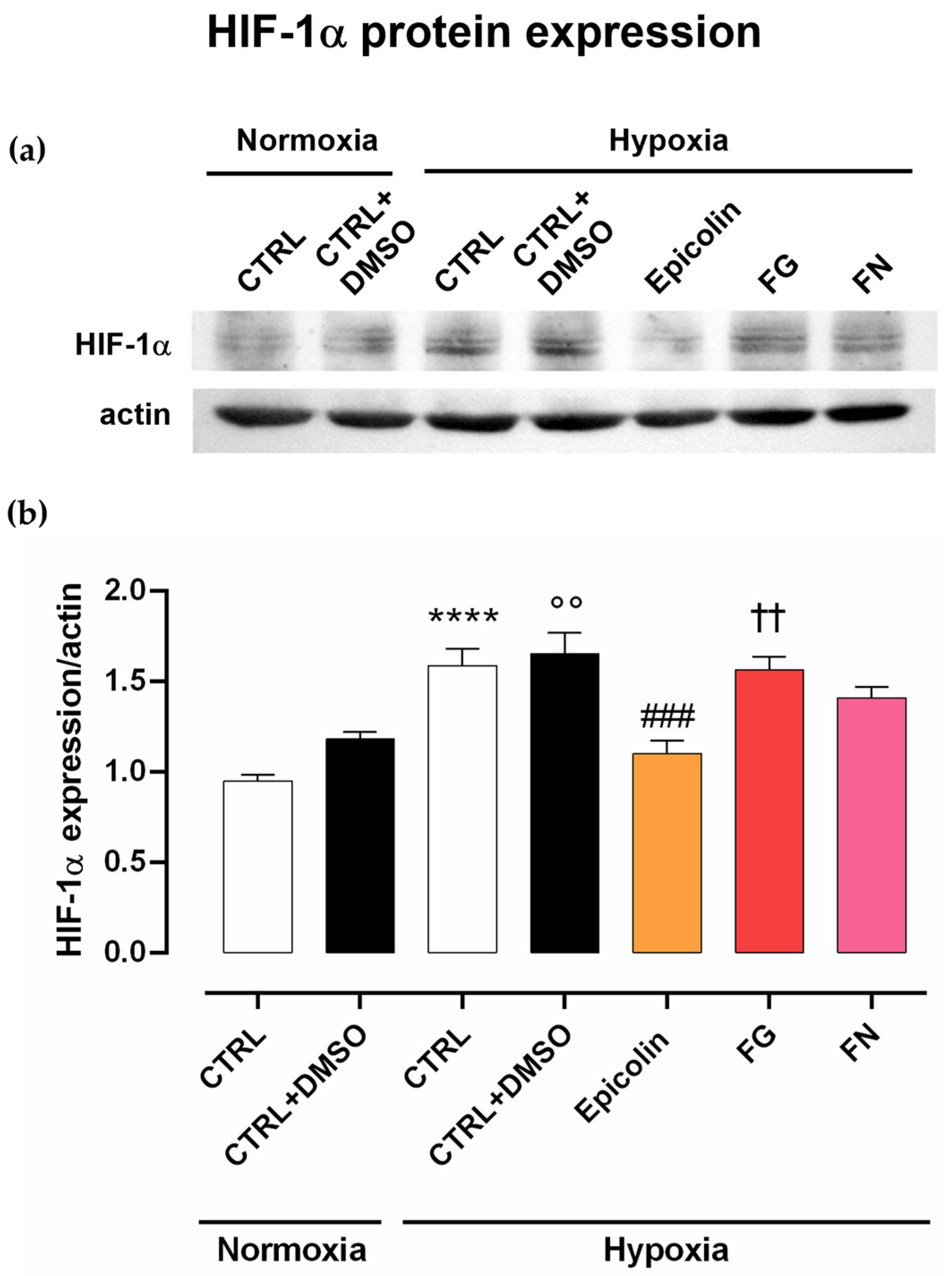 Pharmaceutics 17 00073 g006