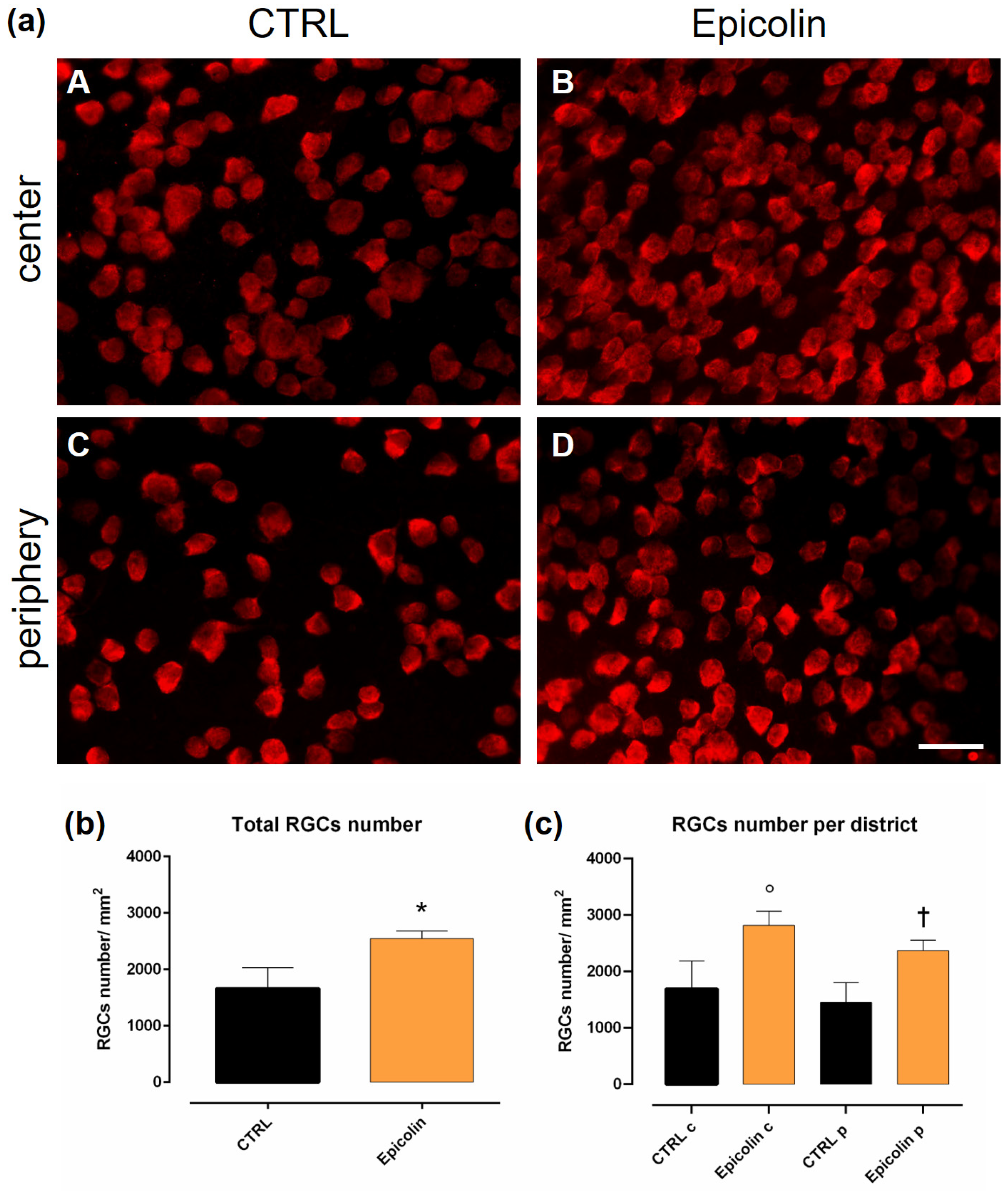 Pharmaceutics 17 00073 g008