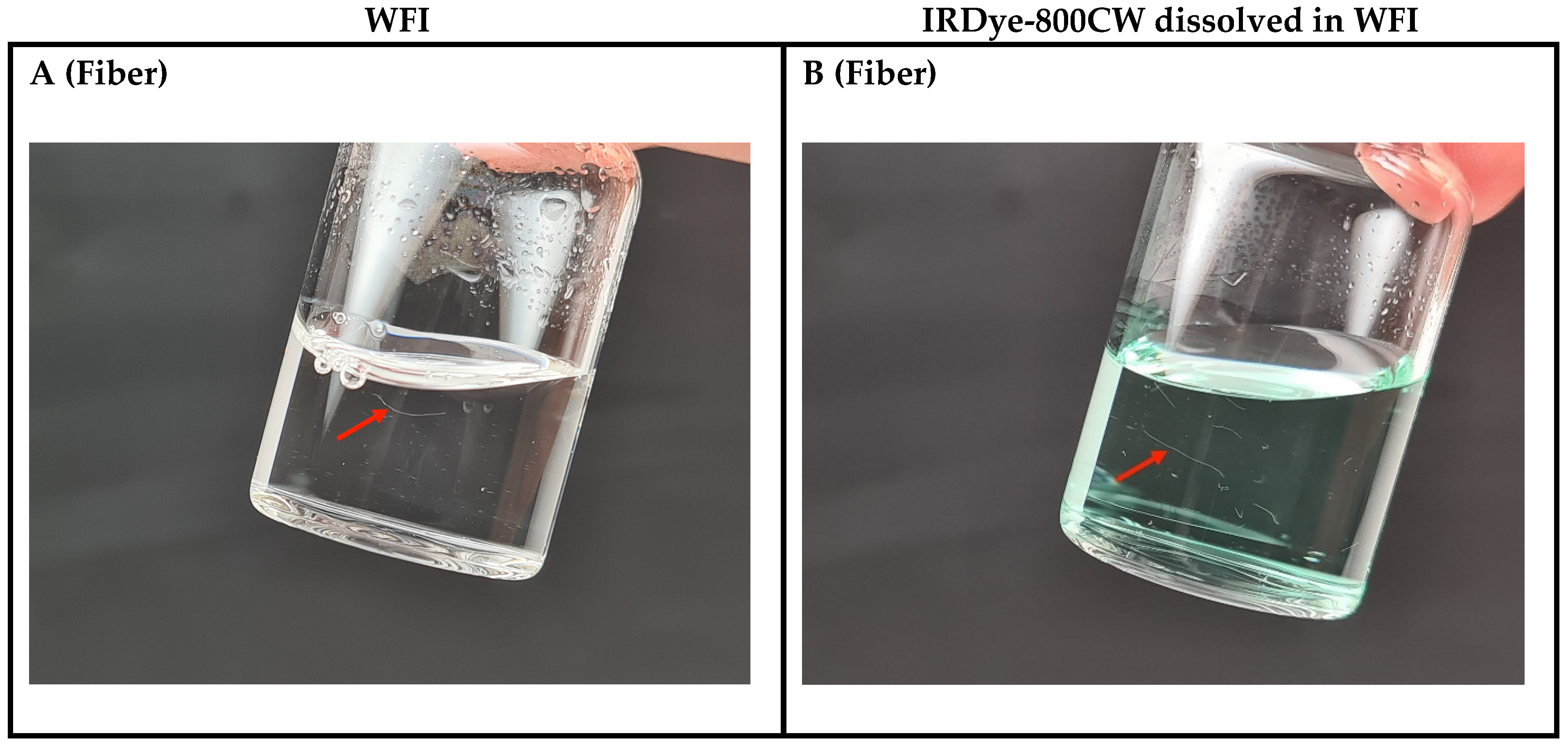 Pharmaceutics 17 00074 g005a