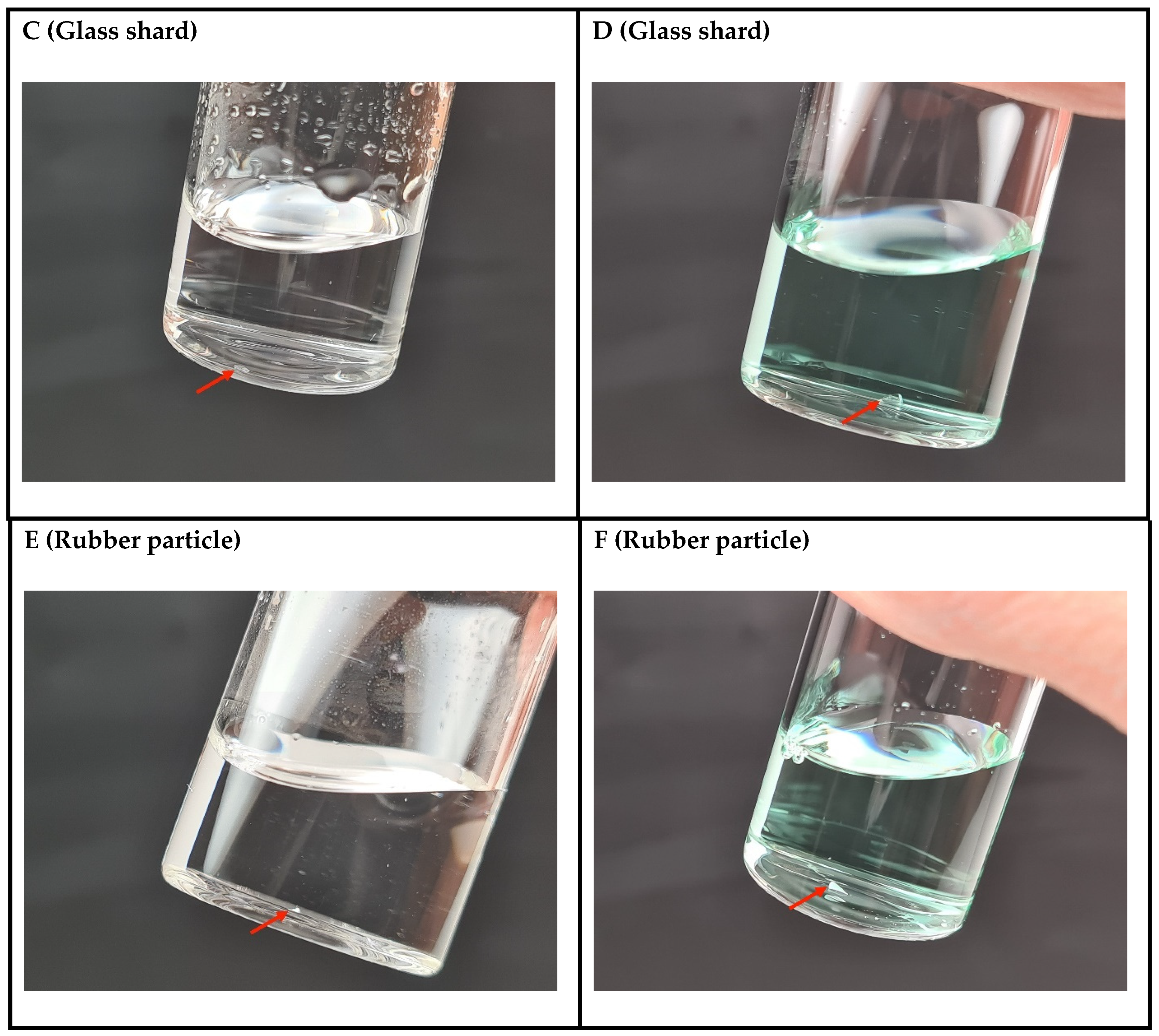 Pharmaceutics 17 00074 g005b