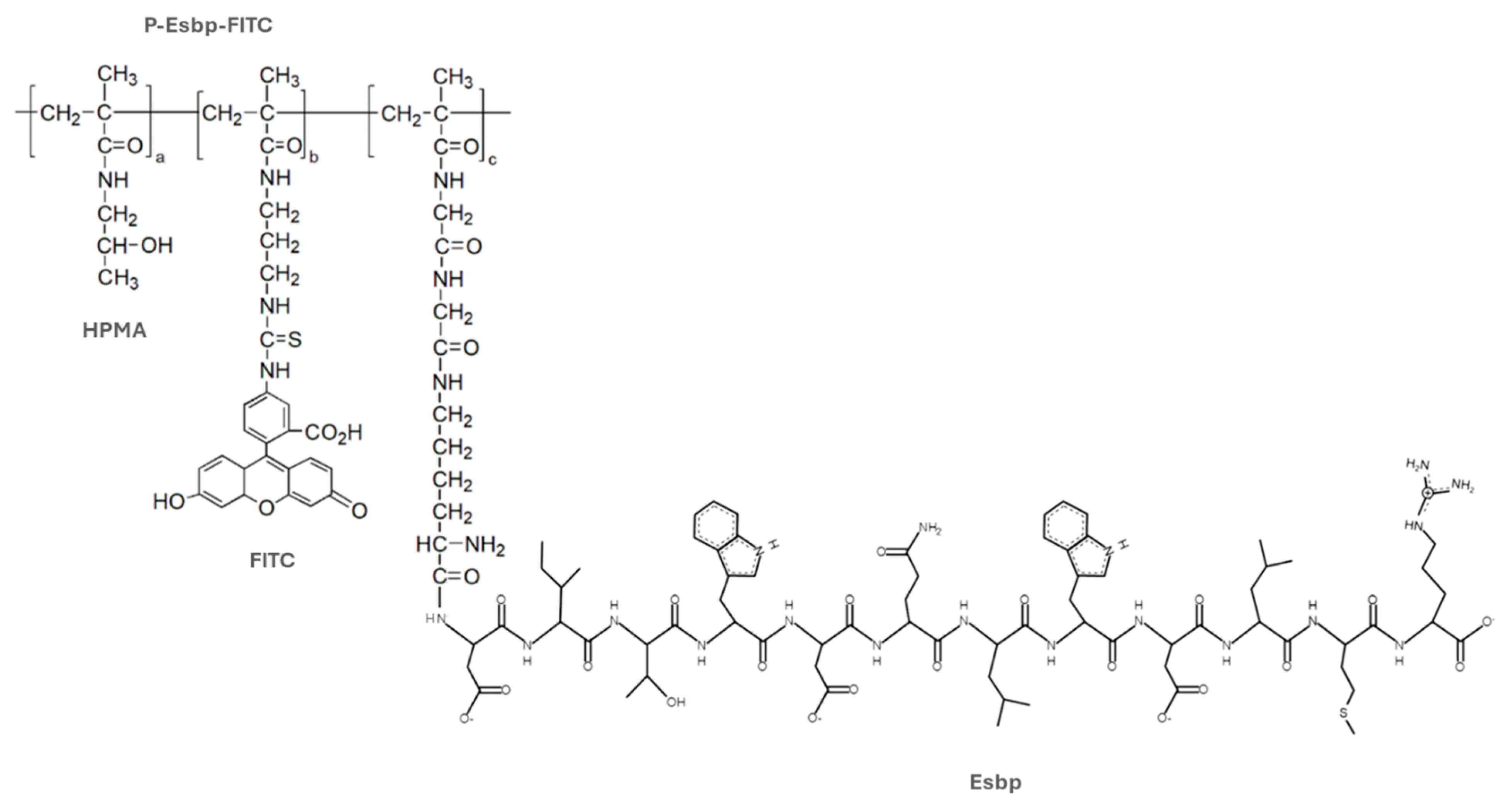 Pharmaceutics 17 00082 g001
