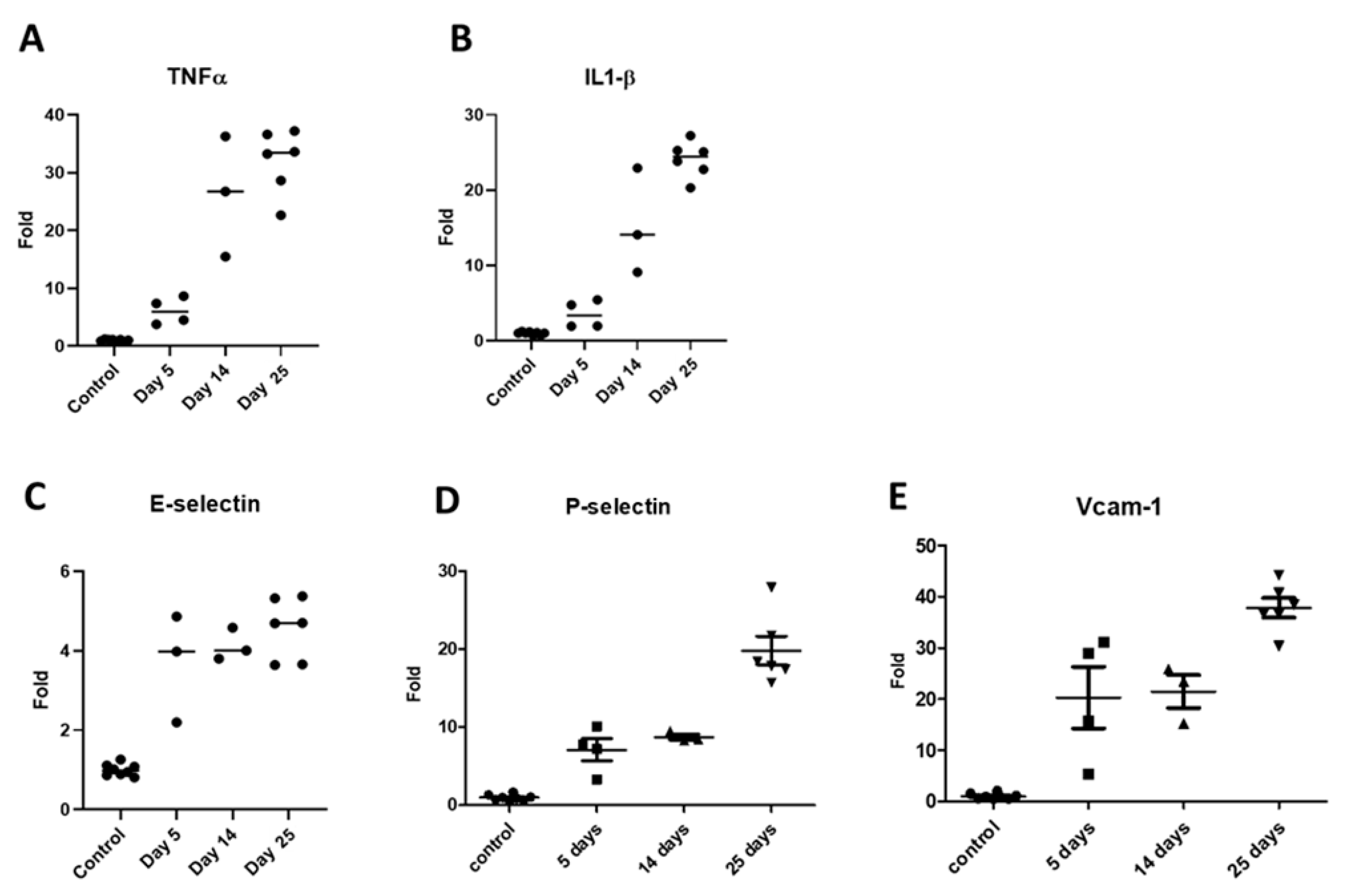 Pharmaceutics 17 00082 g006