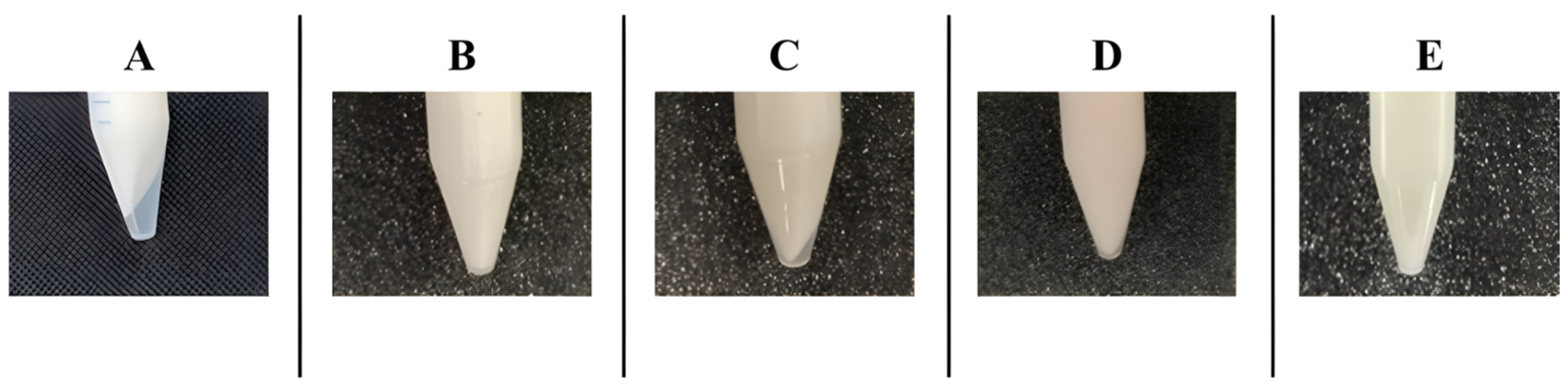 Pharmaceutics 17 00083 g002