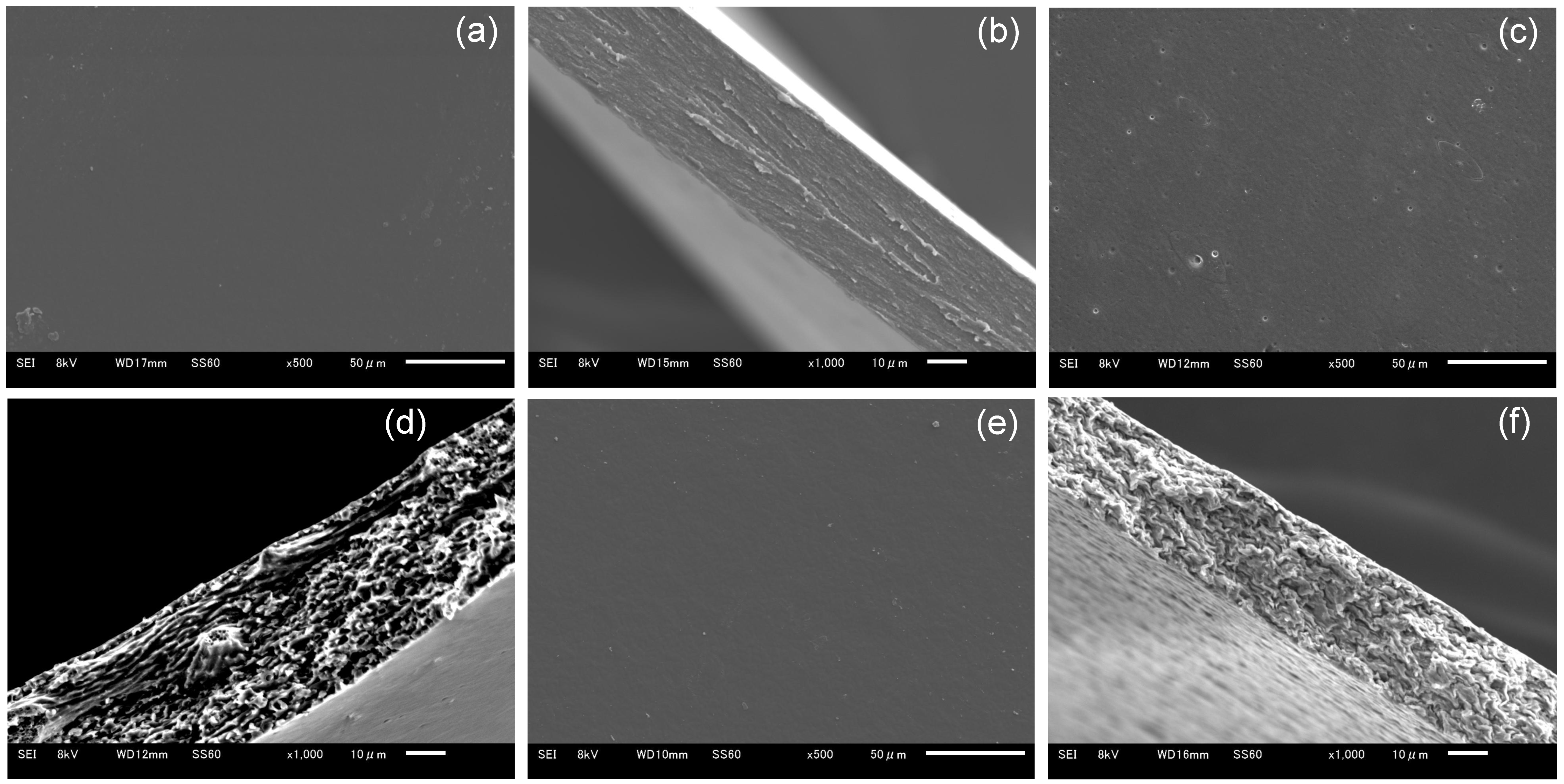 Pharmaceutics 17 00084 g003
