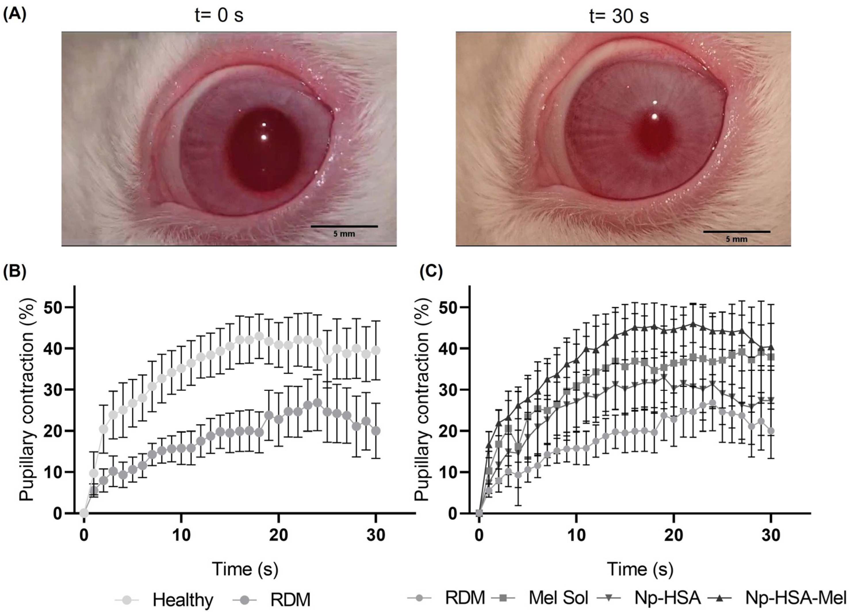 Pharmaceutics 17 00085 g002
