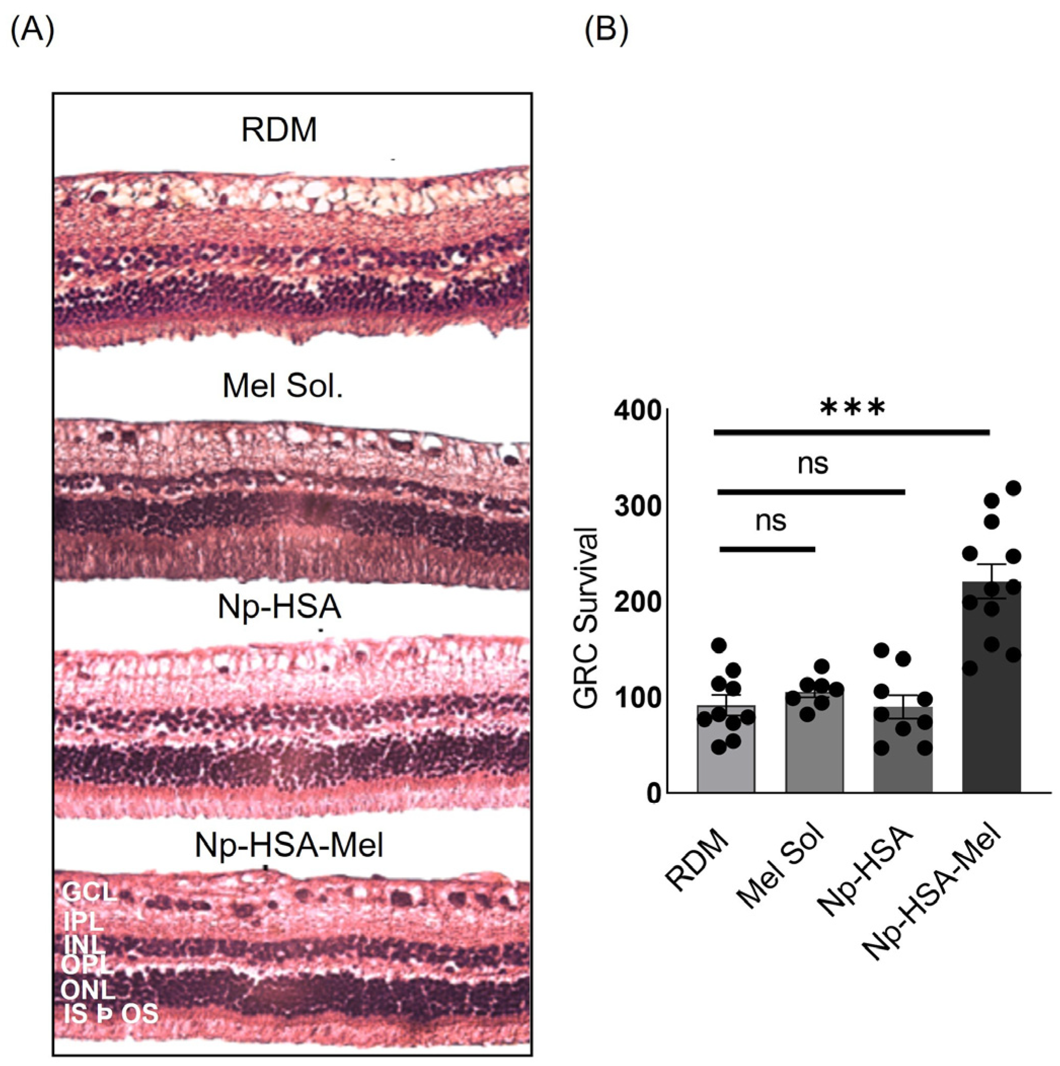 Pharmaceutics 17 00085 g006