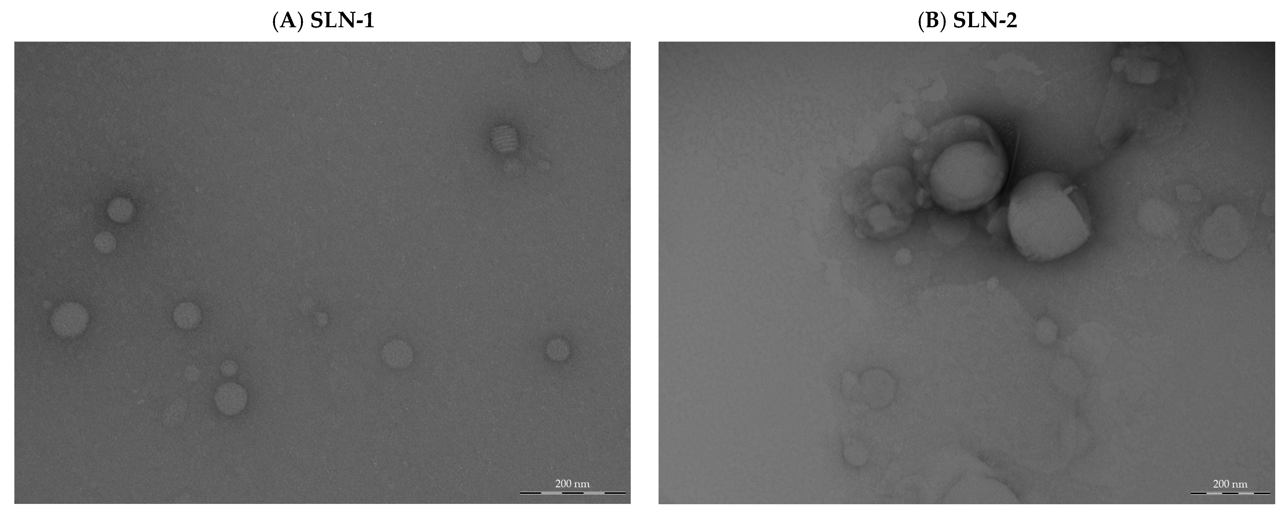 Pharmaceutics 17 00086 g001 Pharmaceutics 17 00086 g001