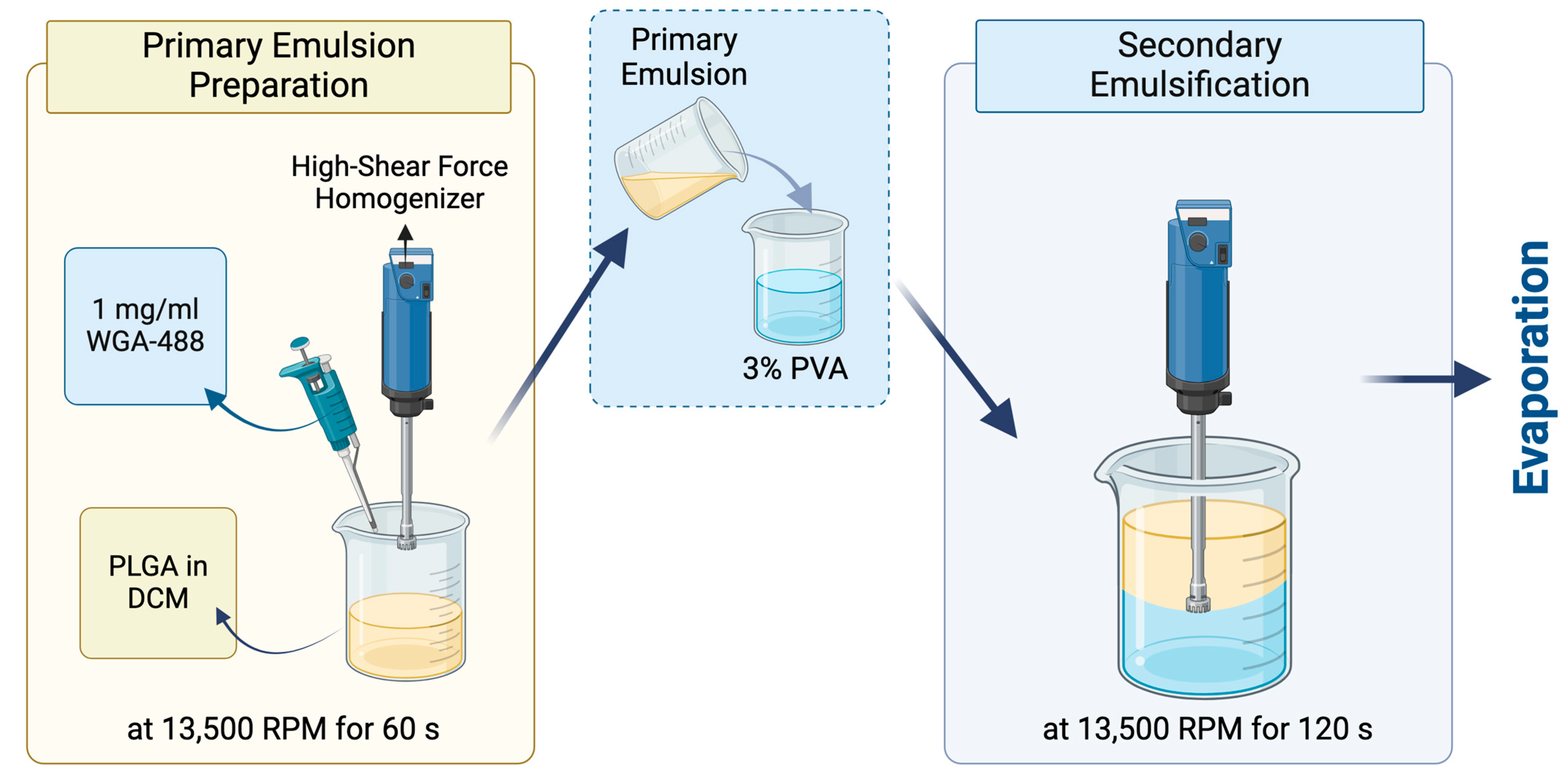 Pharmaceutics 17 00087 g002