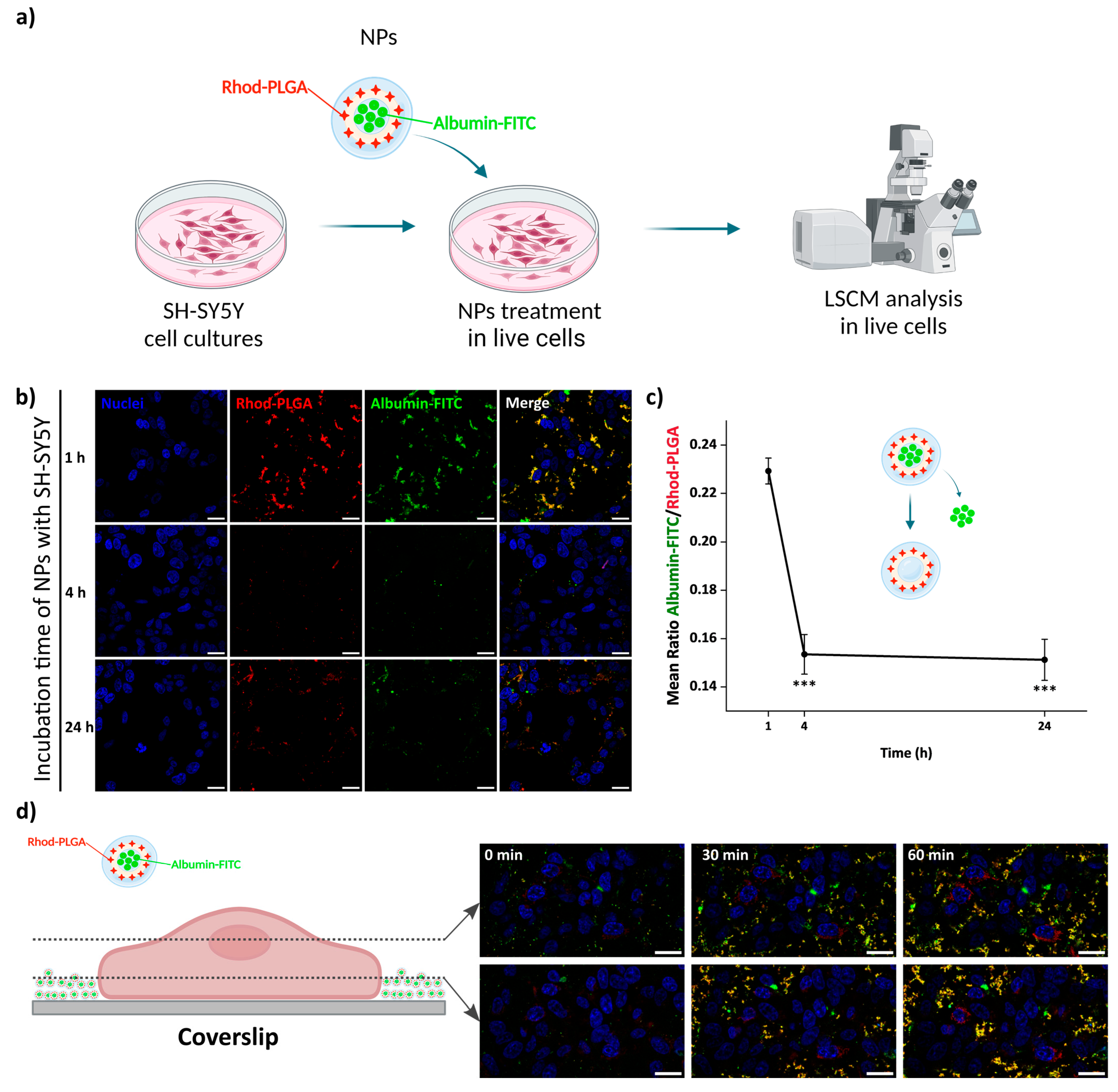 Pharmaceutics 17 00087 g006