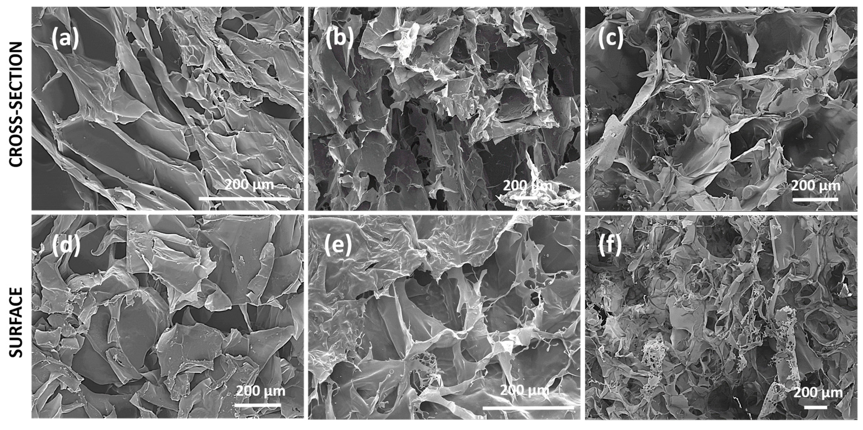 Pharmaceutics 17 00089 g002