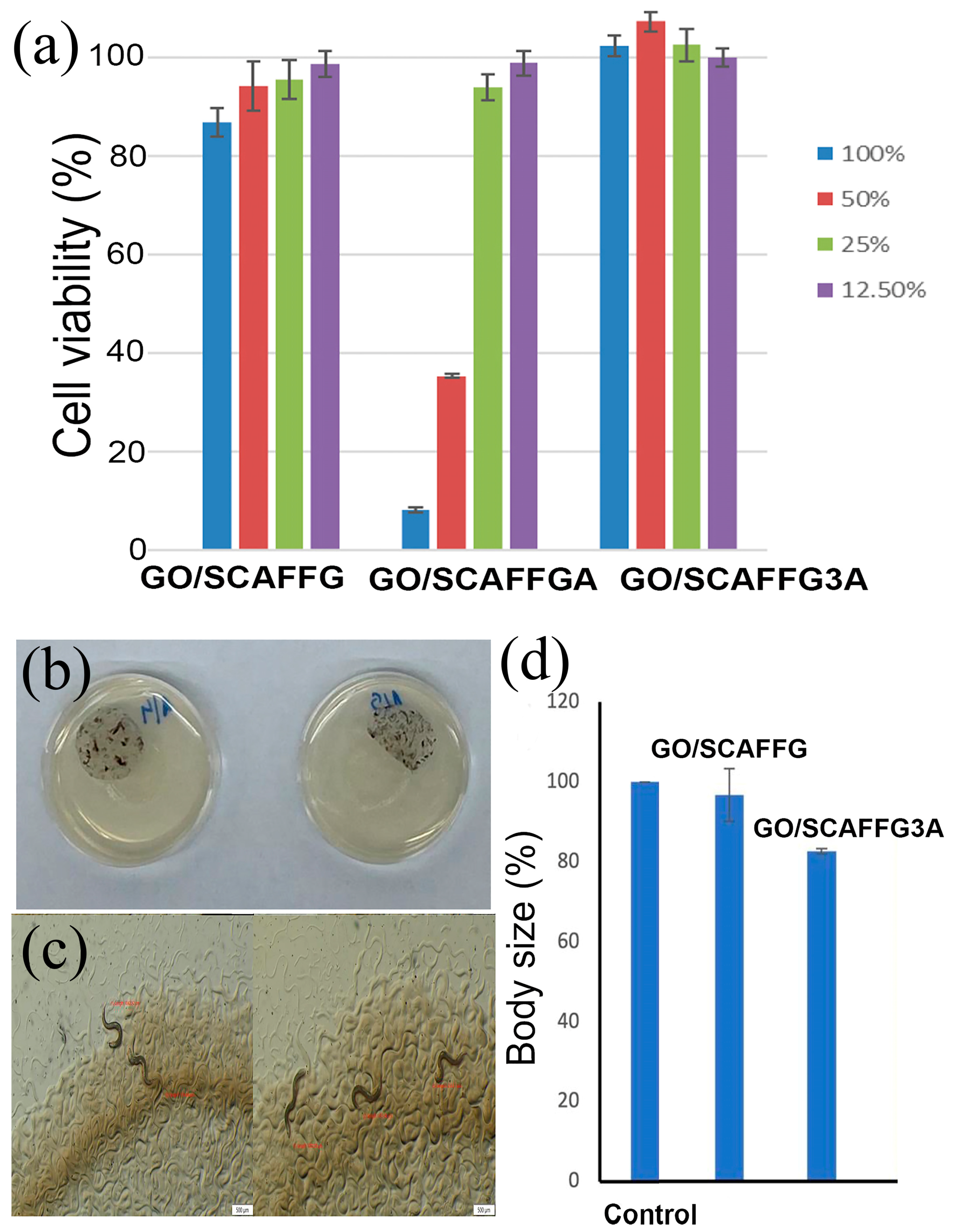 Pharmaceutics 17 00089 g004