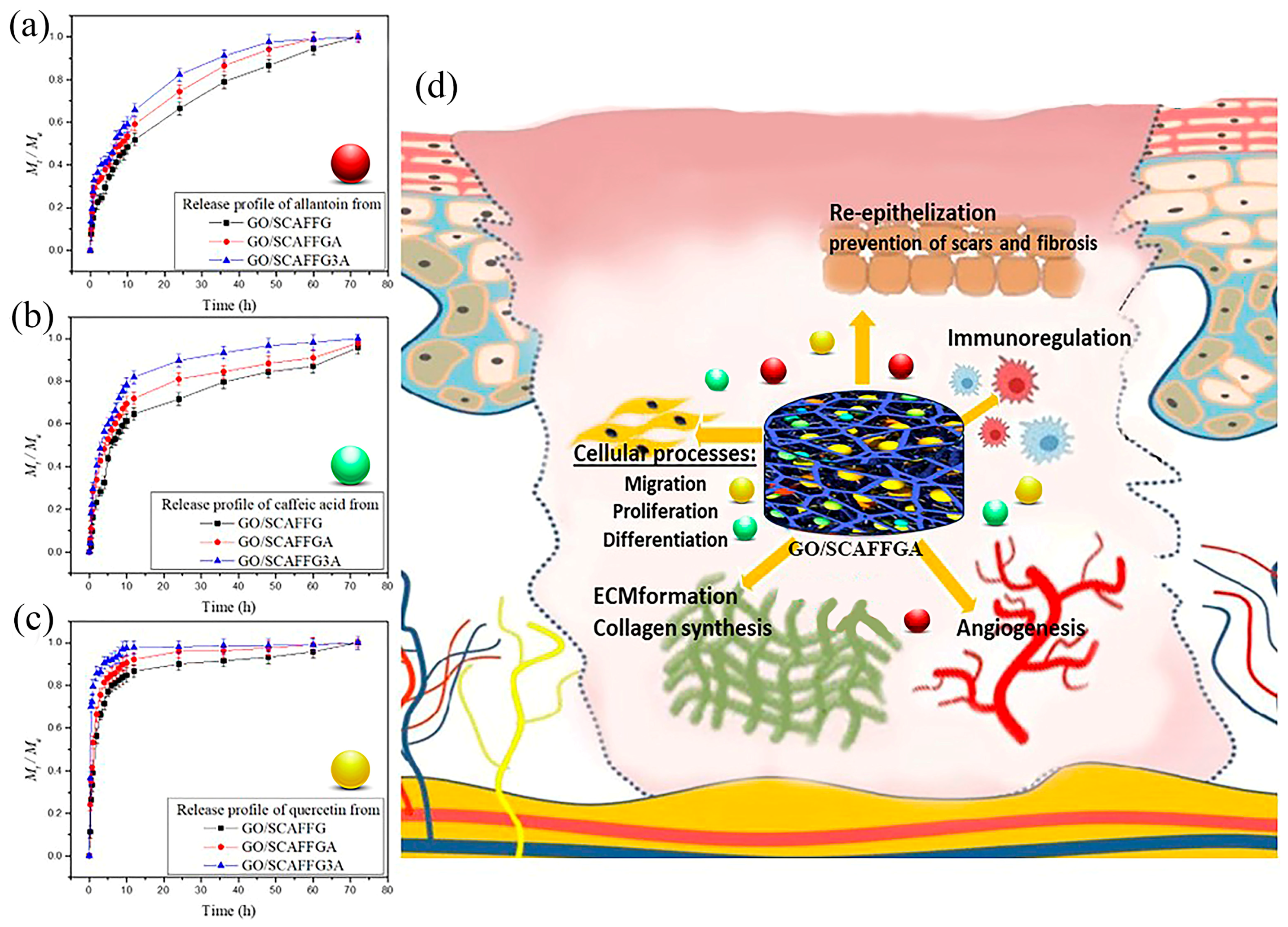 Pharmaceutics 17 00089 g005