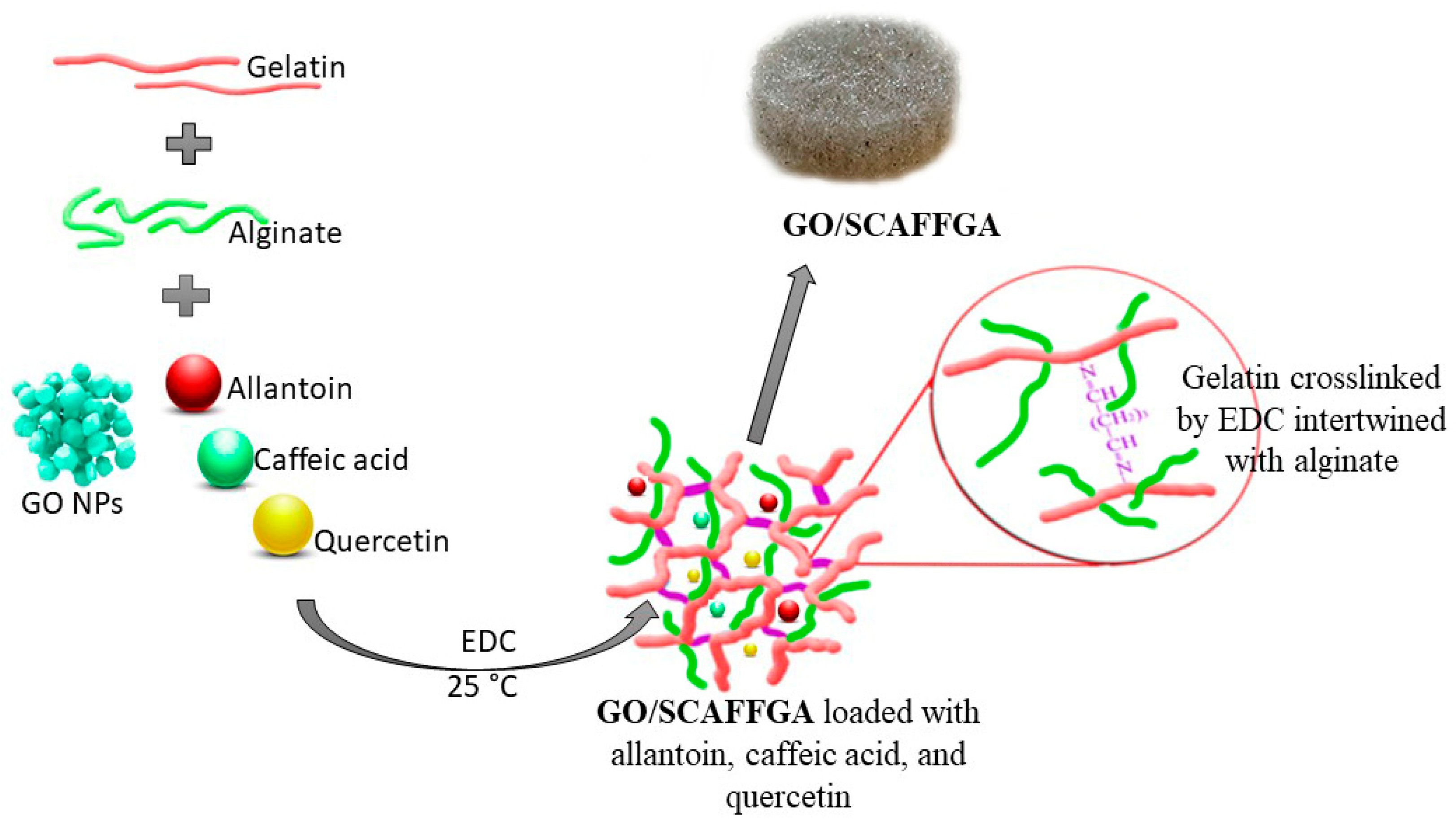 Pharmaceutics 17 00089 sch001