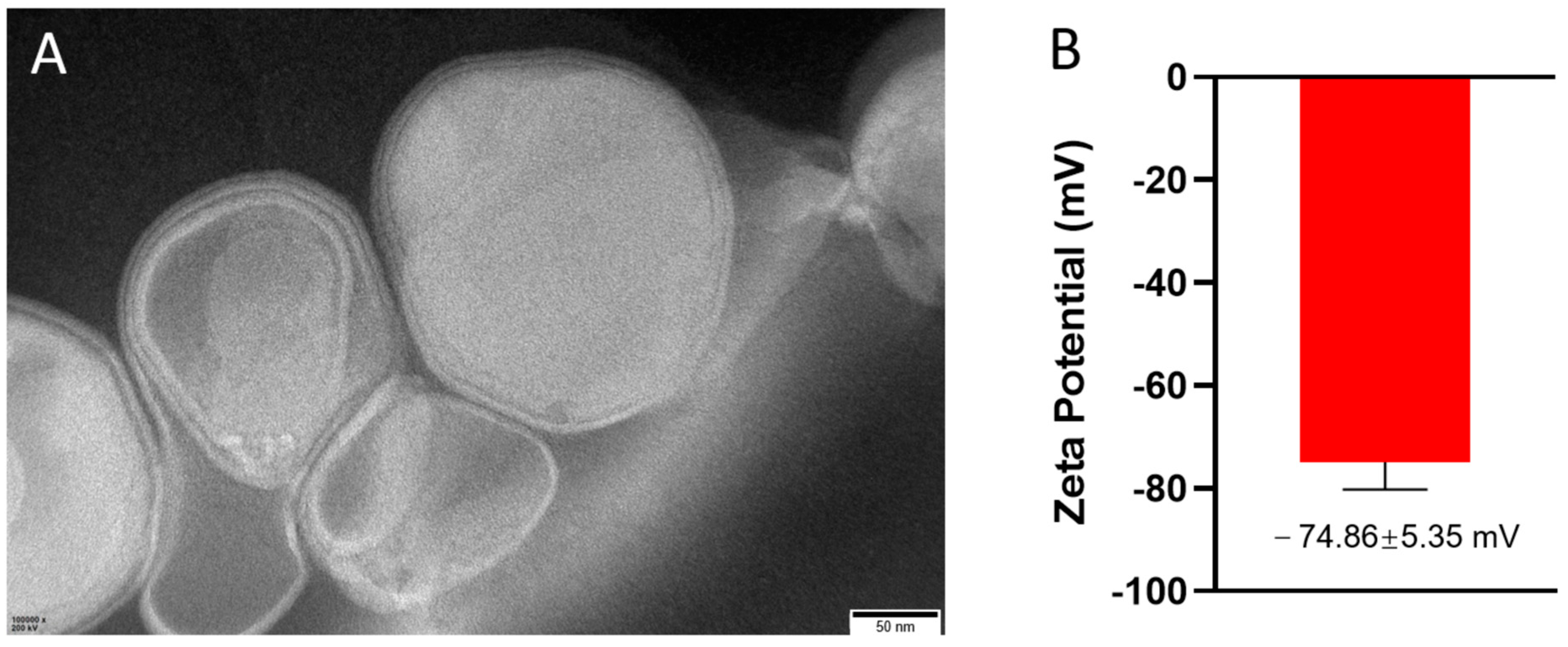Pharmaceutics 17 00090 g001