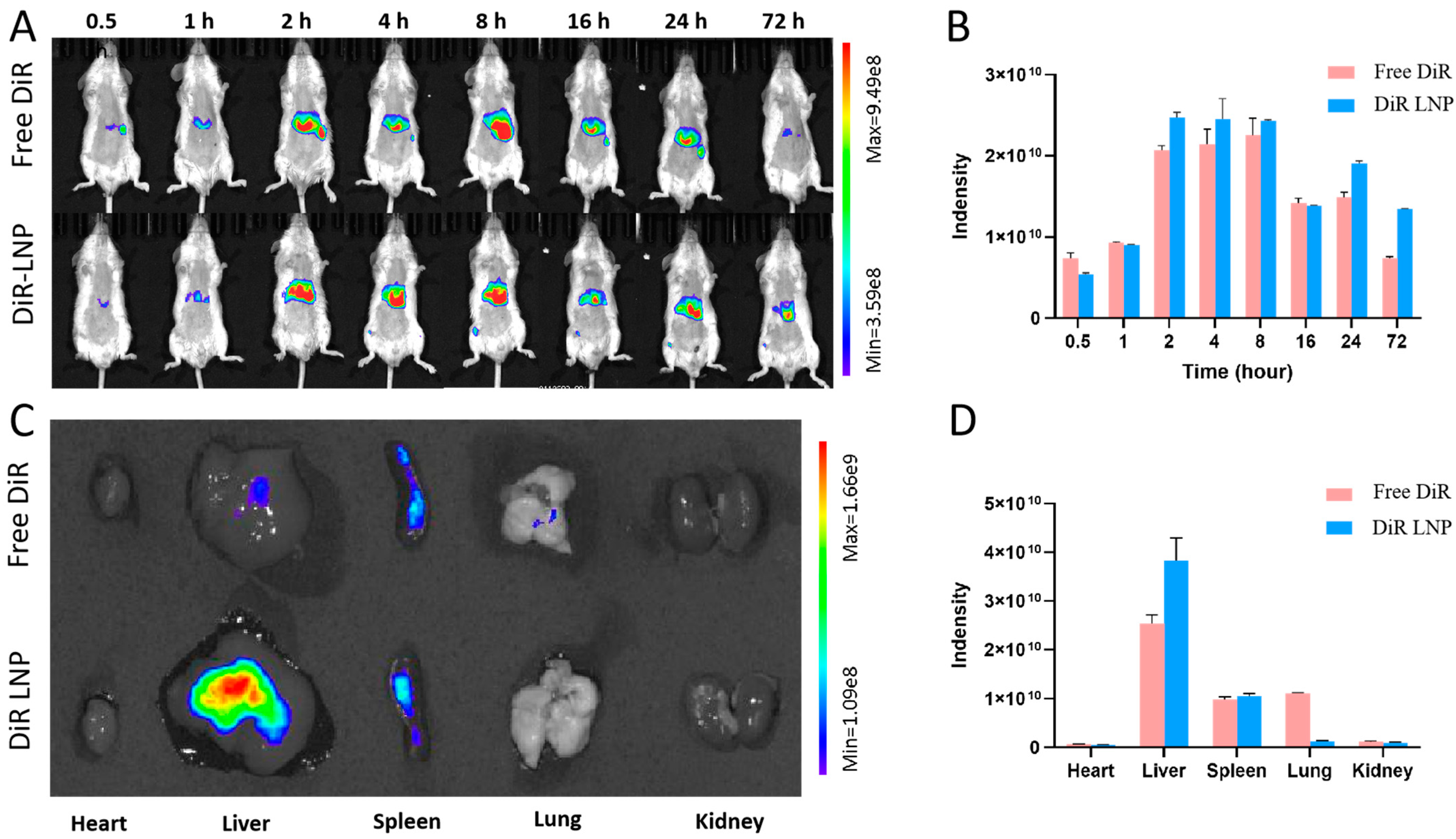 Pharmaceutics 17 00090 g003