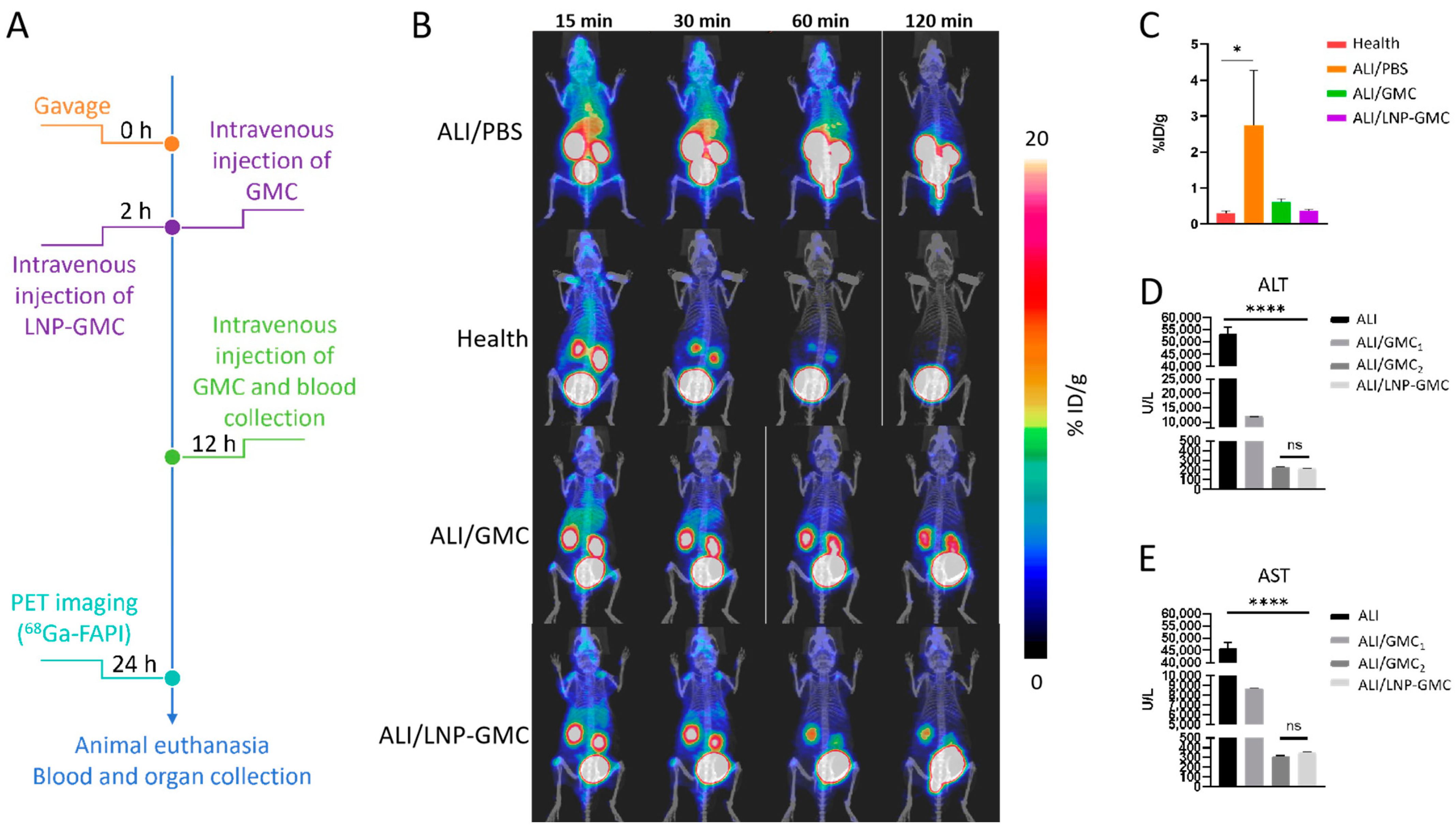 Pharmaceutics 17 00090 g004