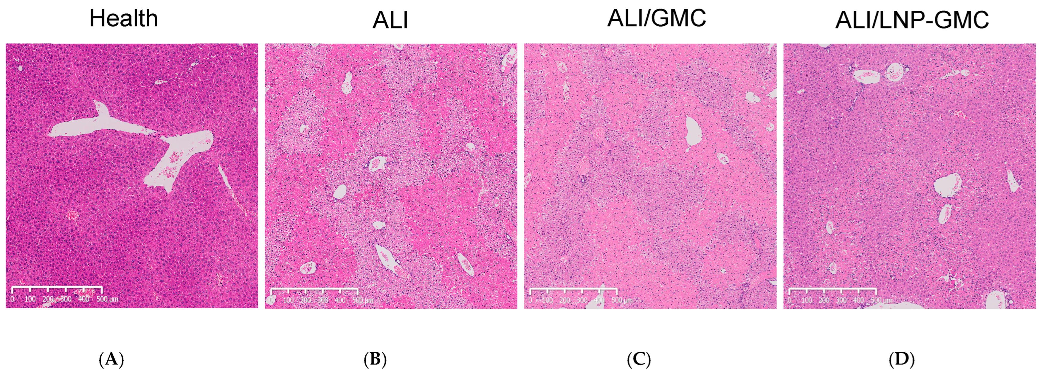 Pharmaceutics 17 00090 g005