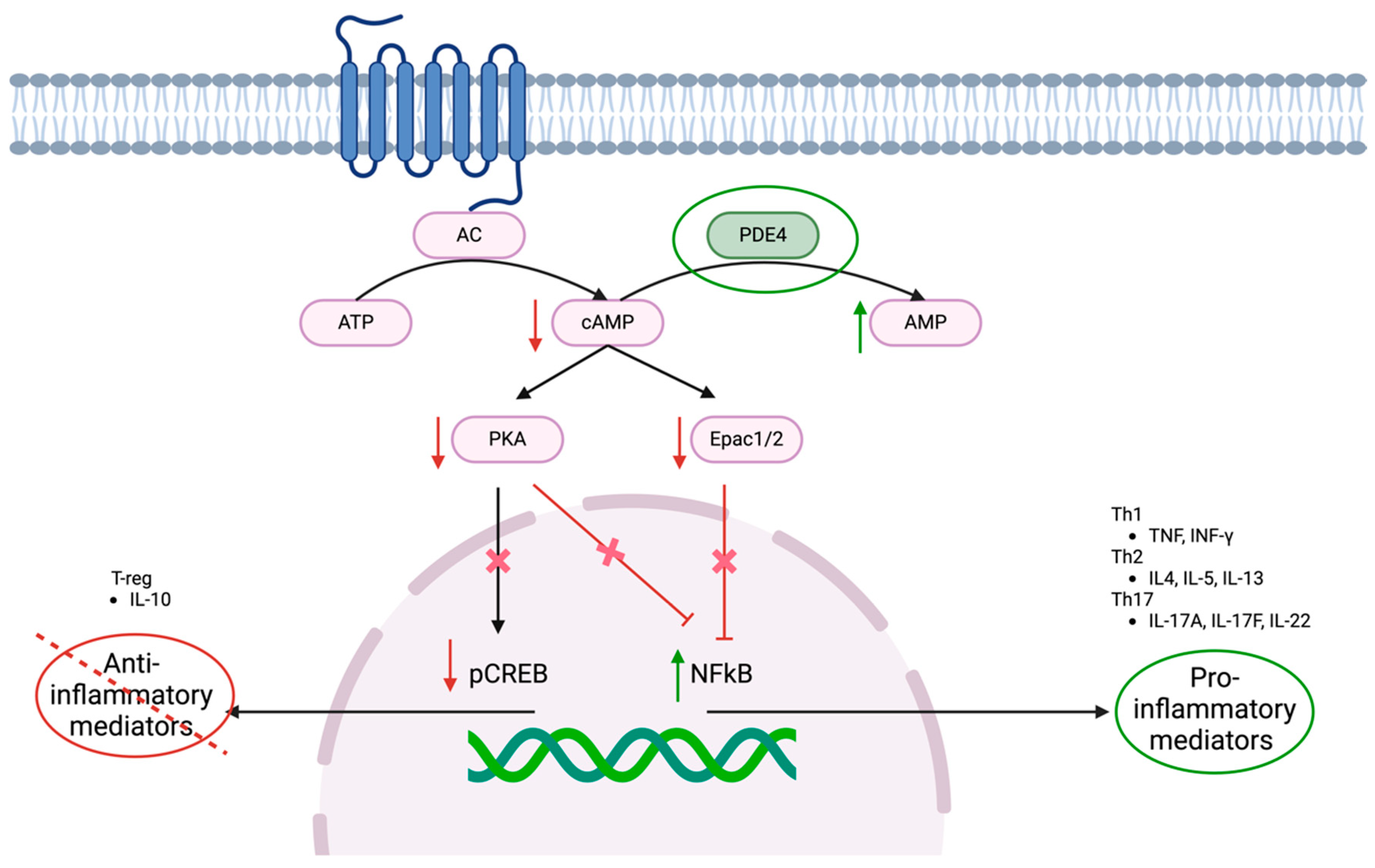 Pharmaceutics 17 00091 g001