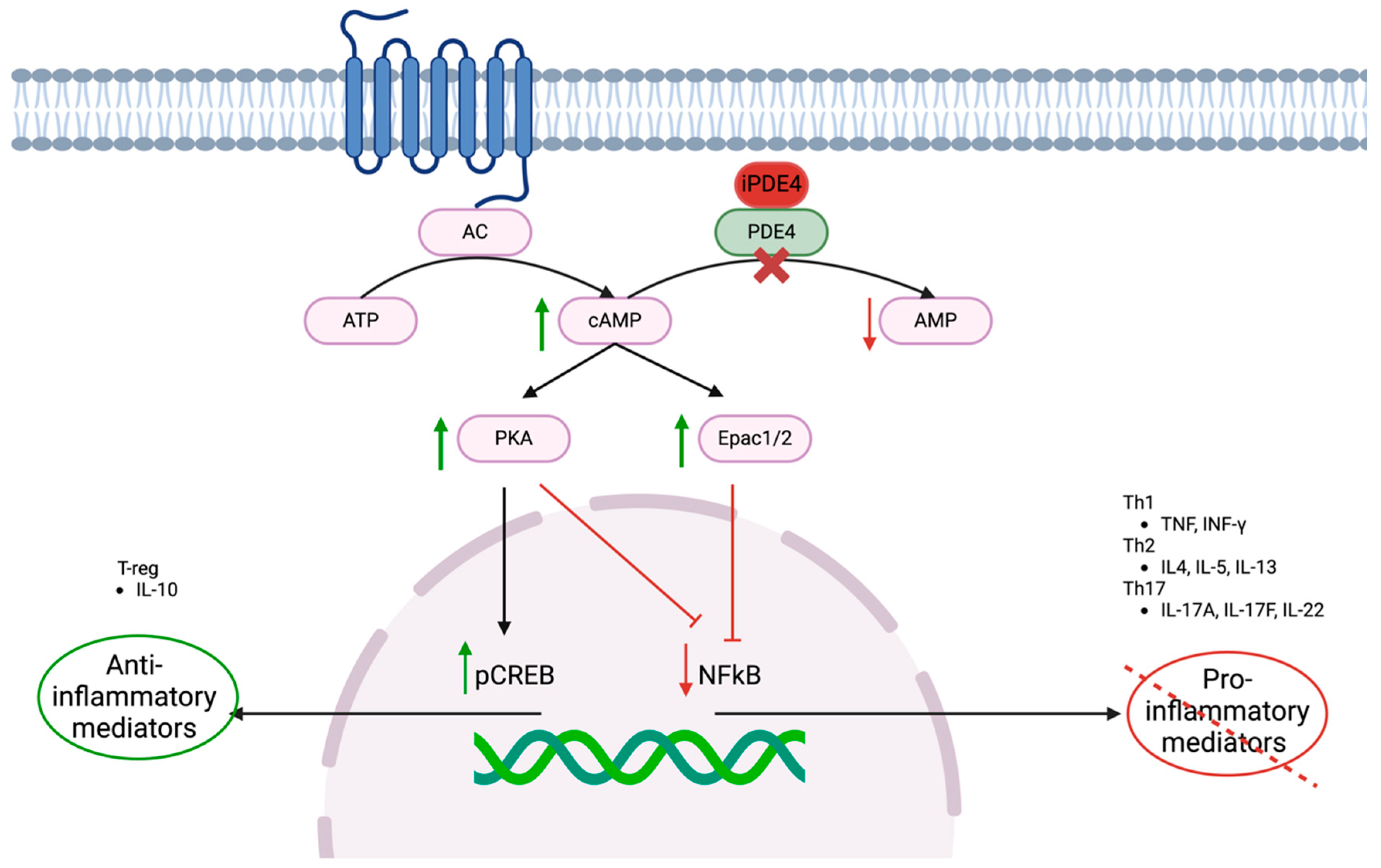 Pharmaceutics 17 00091 g002