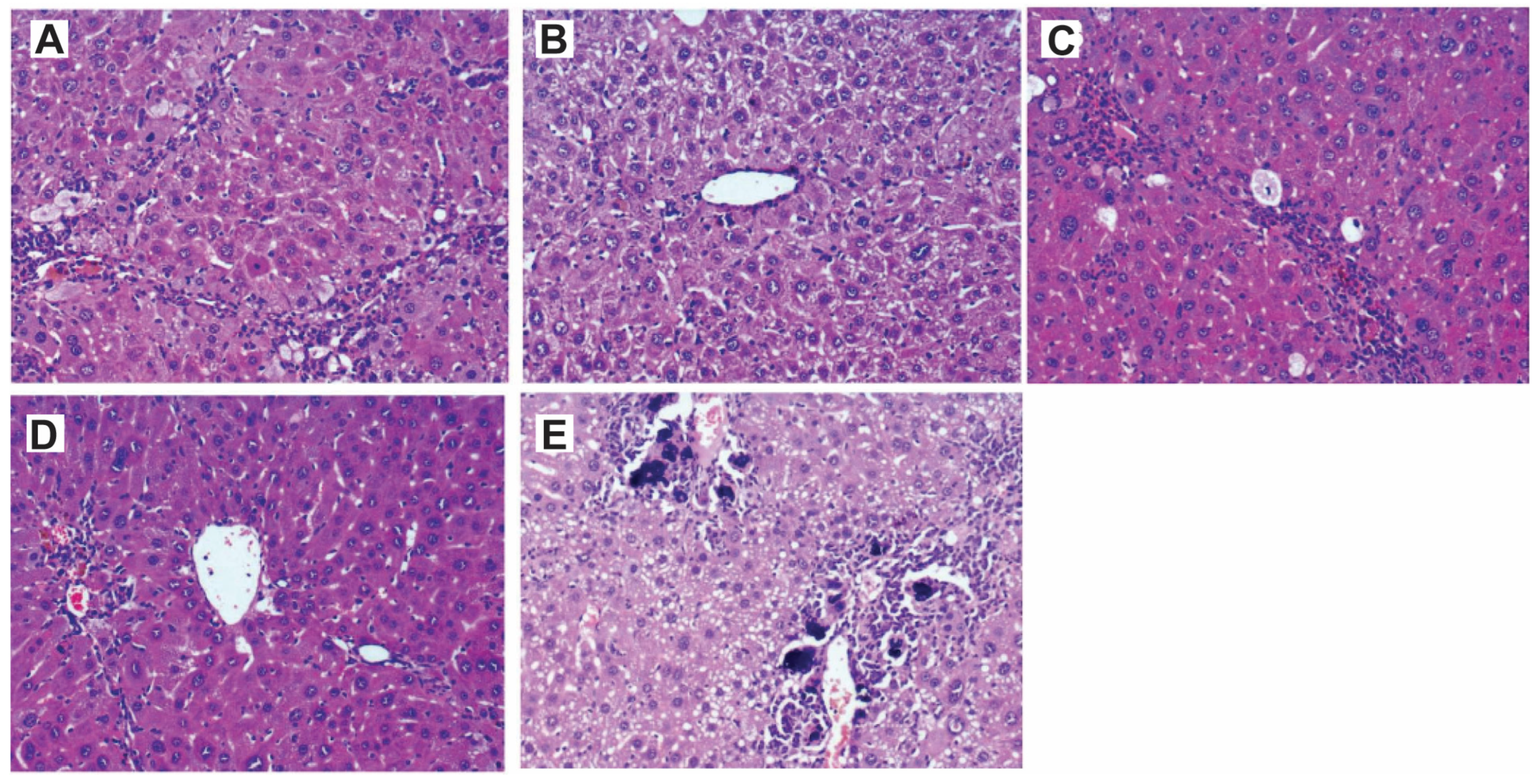 Pharmaceutics 17 00093 g002