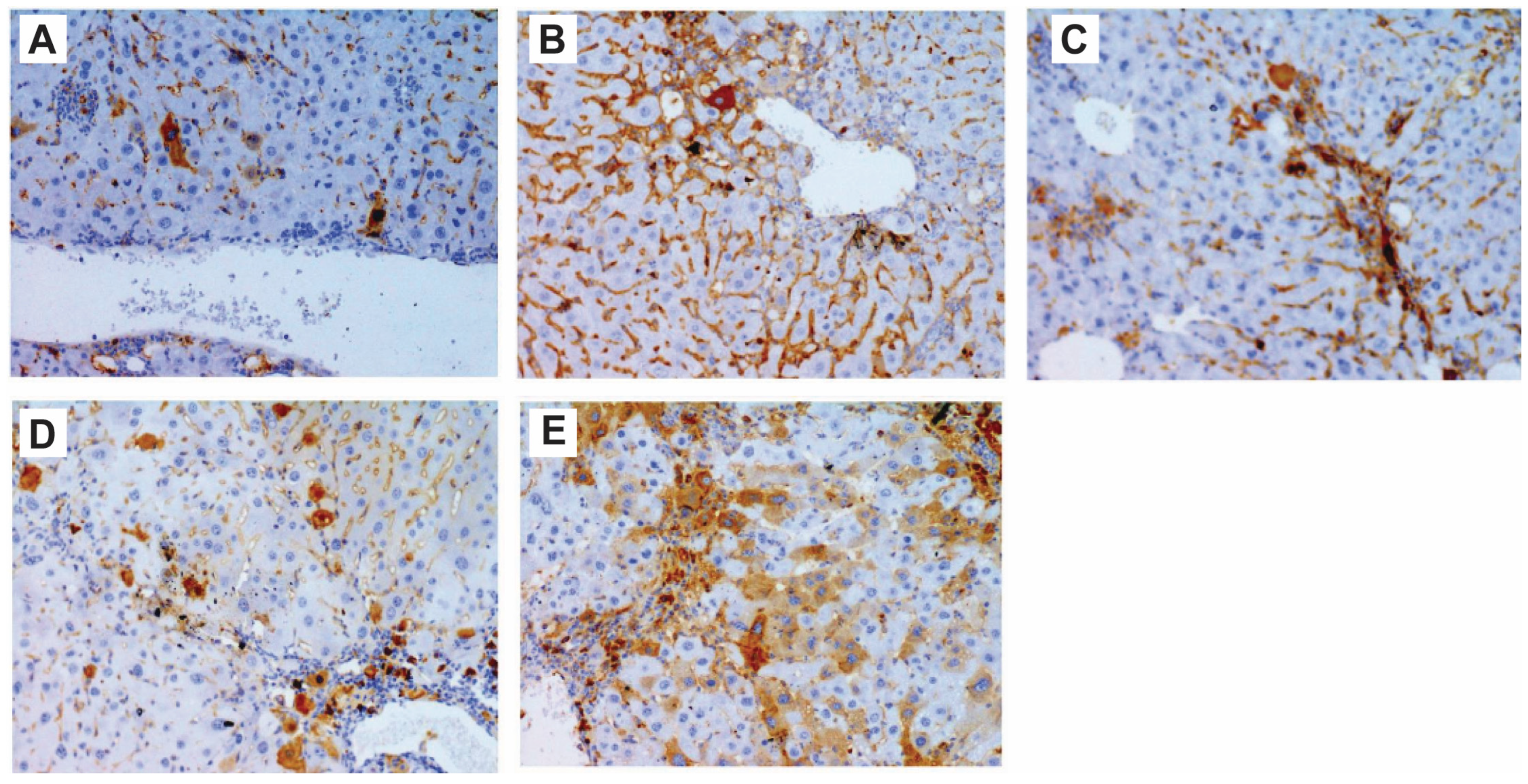Pharmaceutics 17 00093 g003