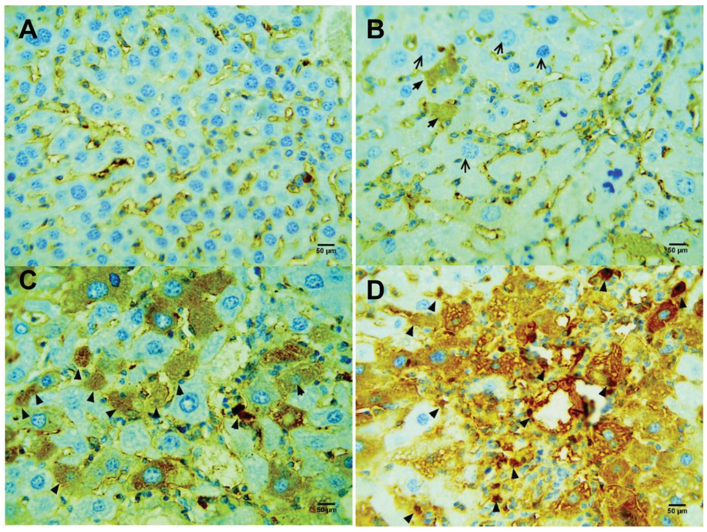Pharmaceutics 17 00093 g005
