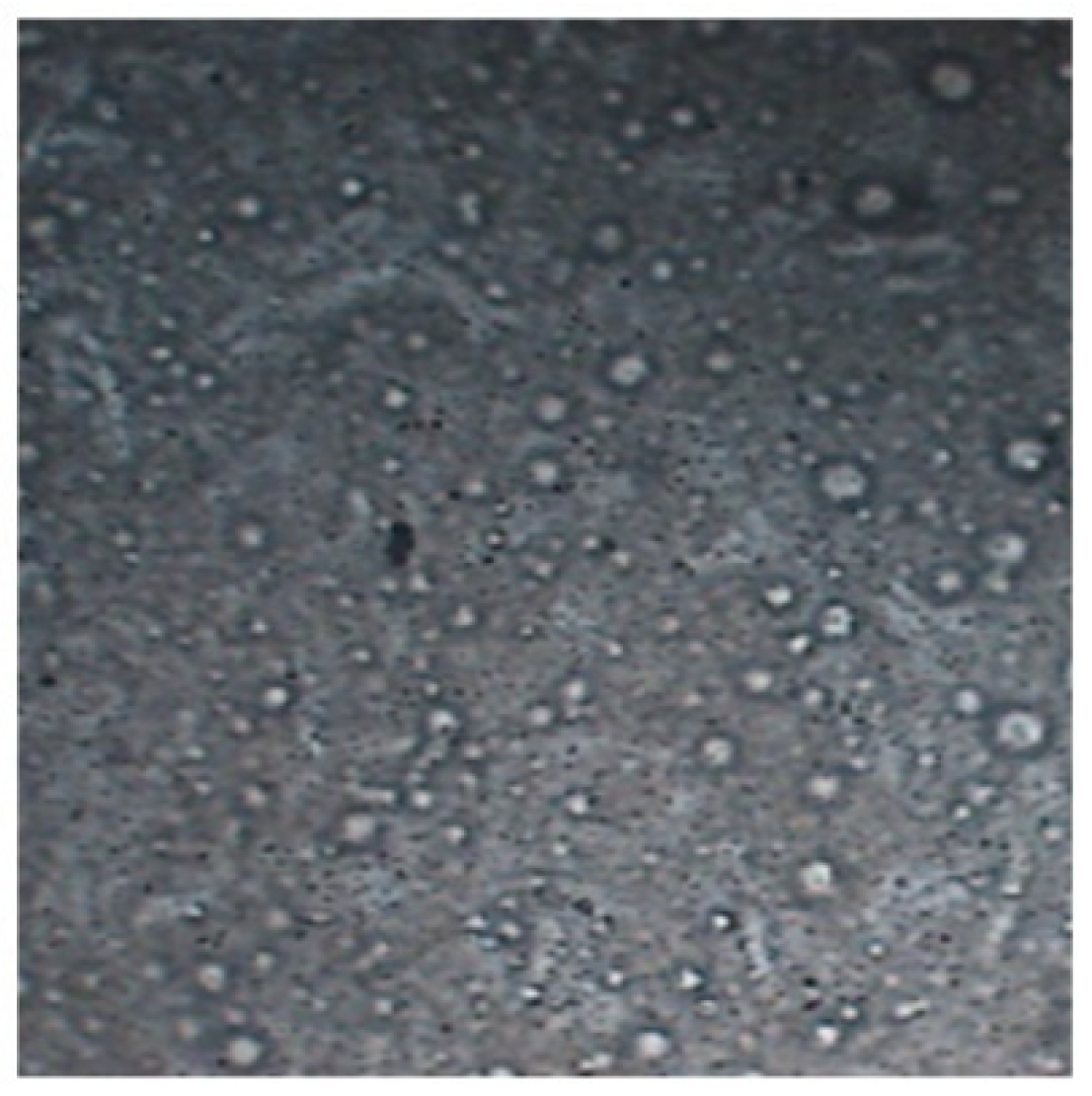 Pharmaceutics 17 00093 g007