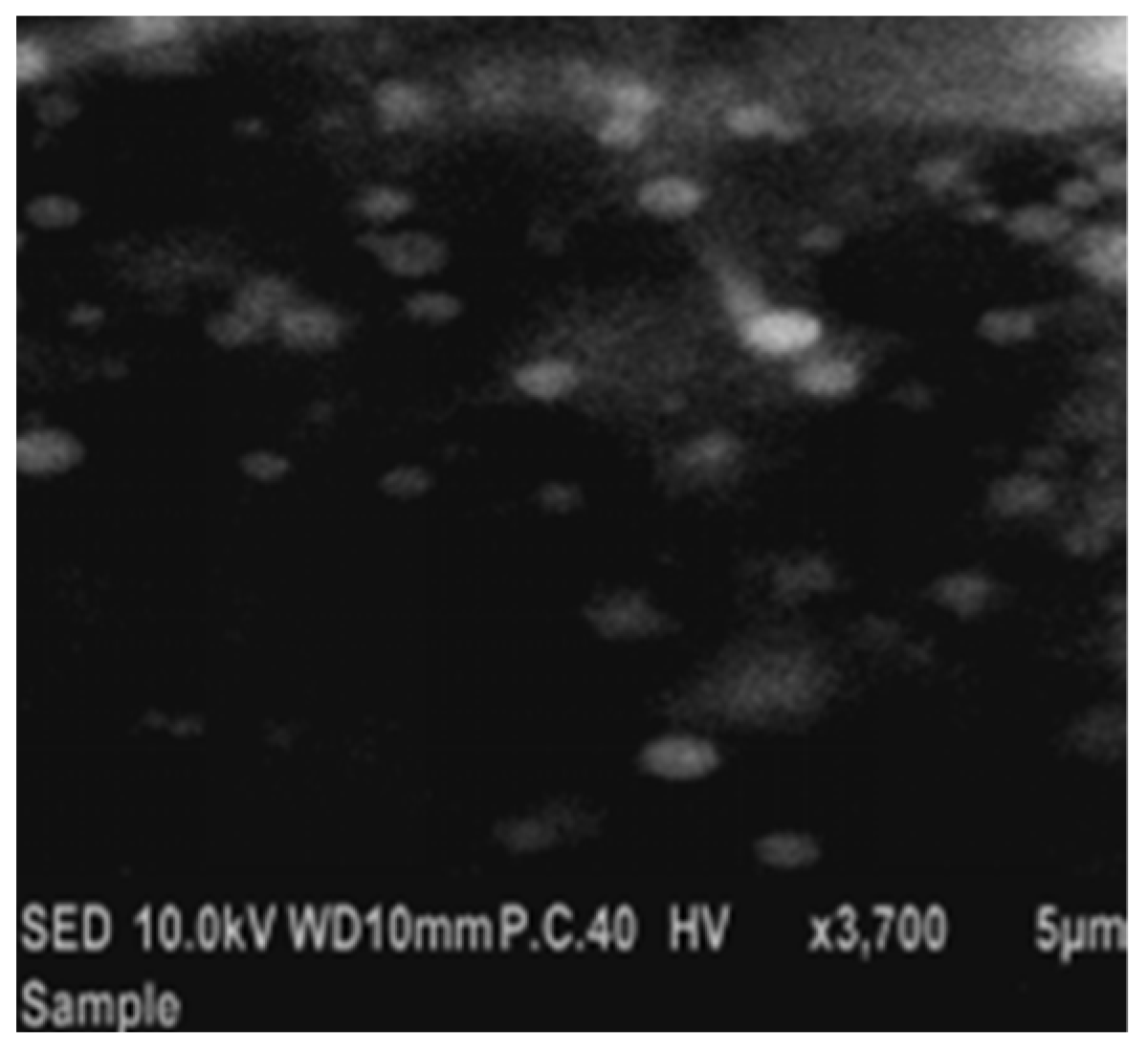 Pharmaceutics 17 00093 g014