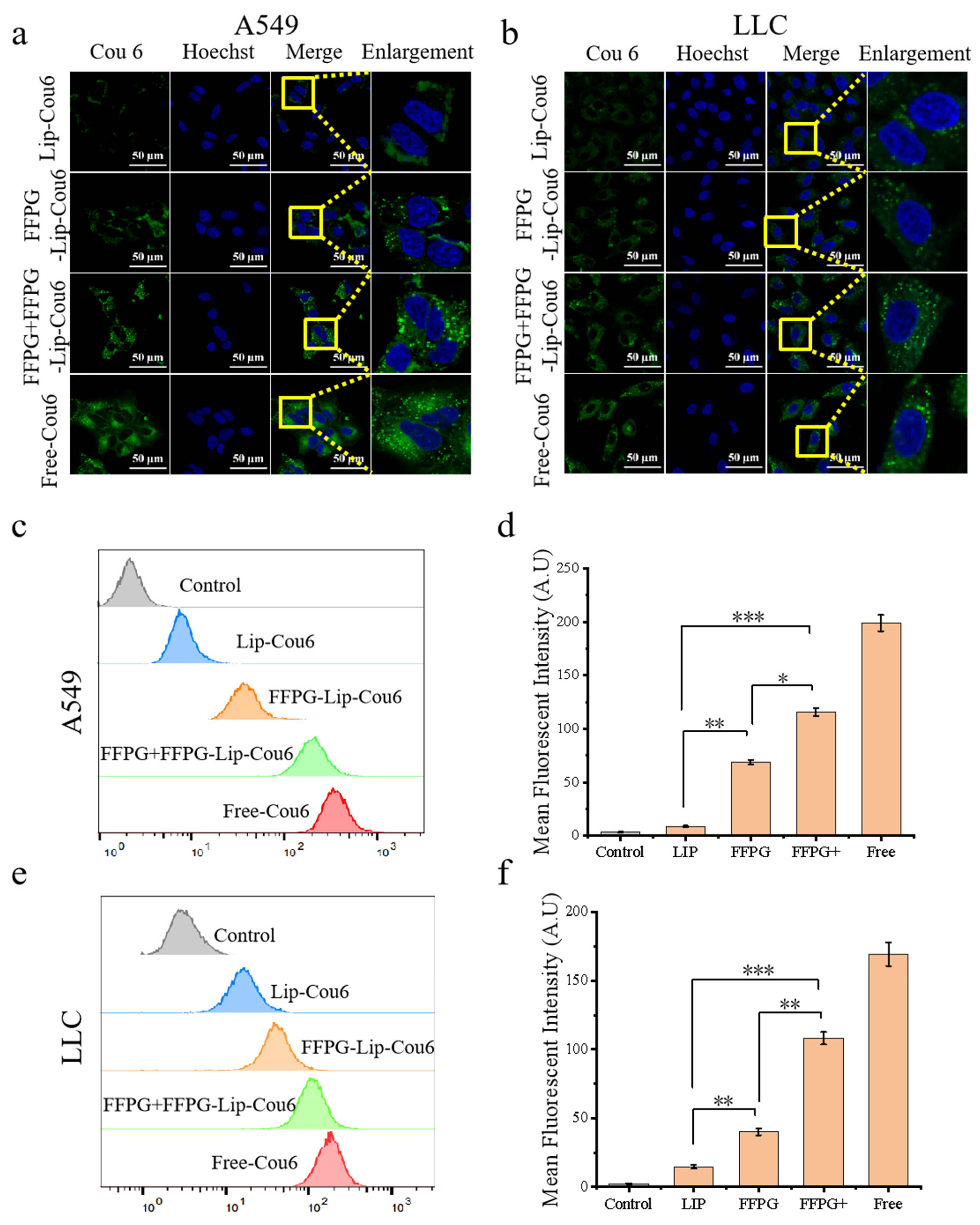 Pharmaceutics 17 00094 g002